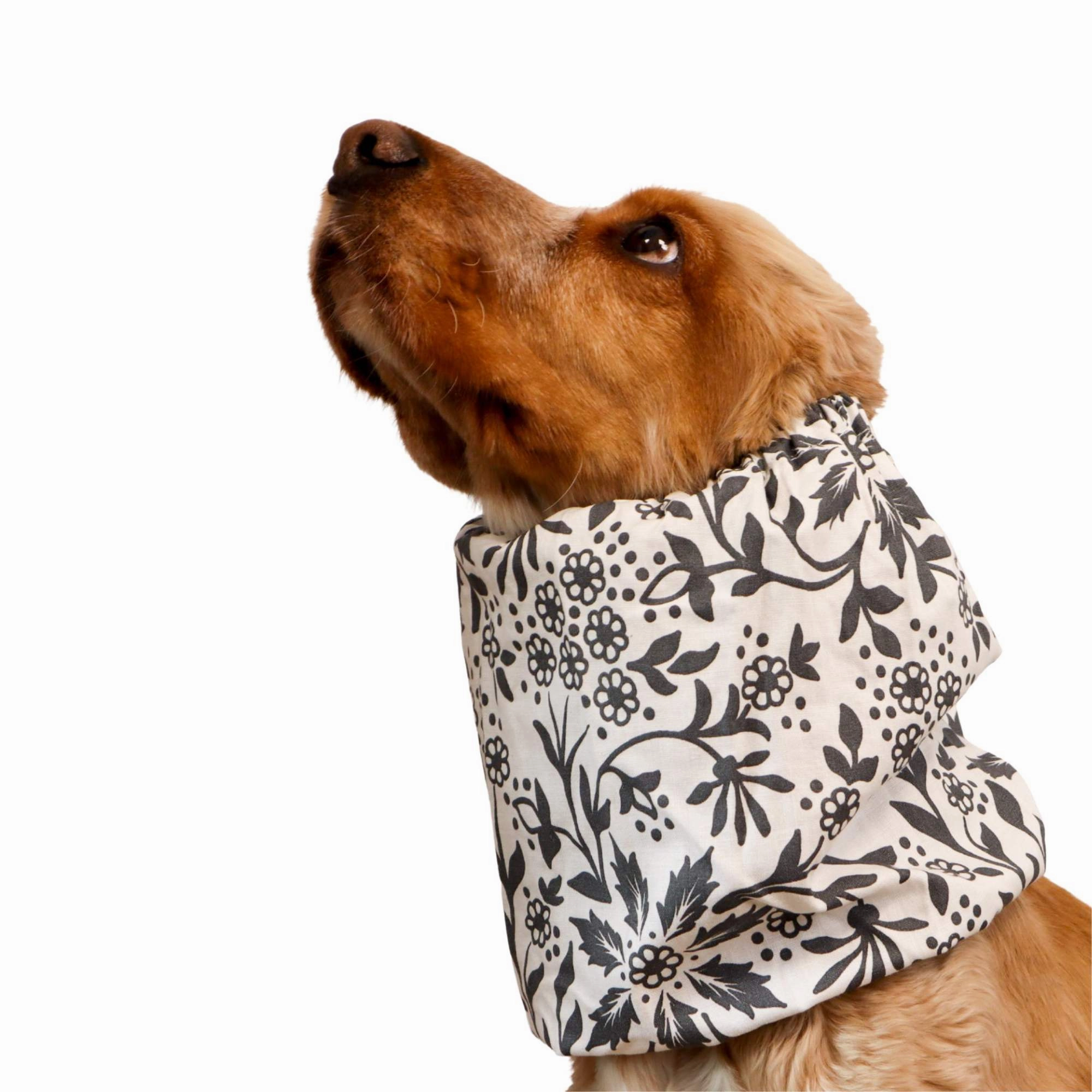Cotton Dog Snood | Fleur de Minuit
