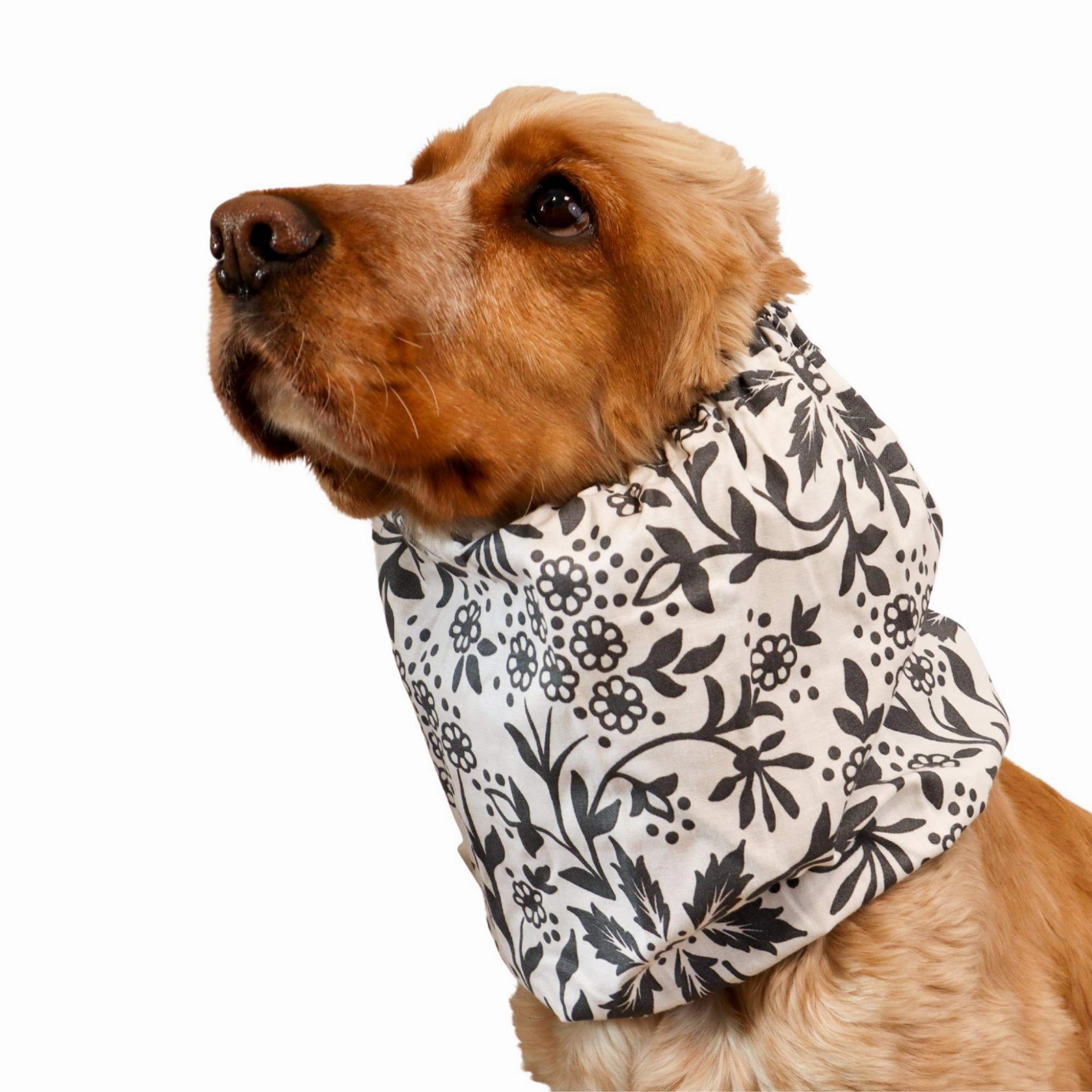 Cotton Dog Snood | Fleur de Minuit