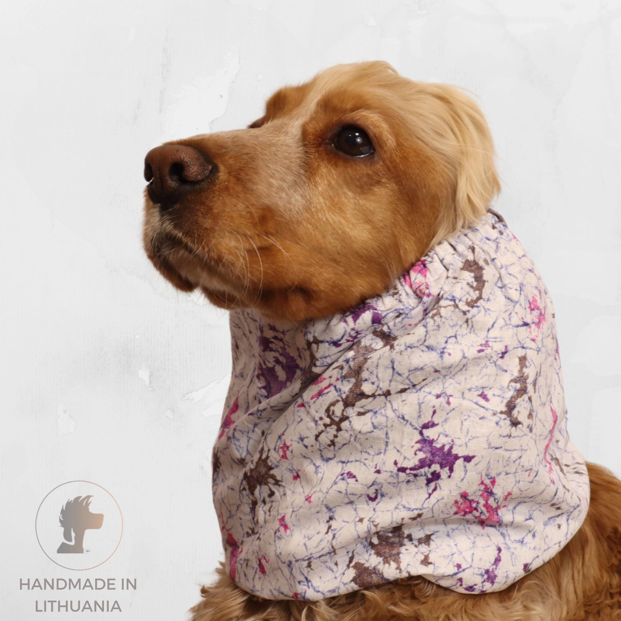 Cotton Dog Snood | Galaxy Drift