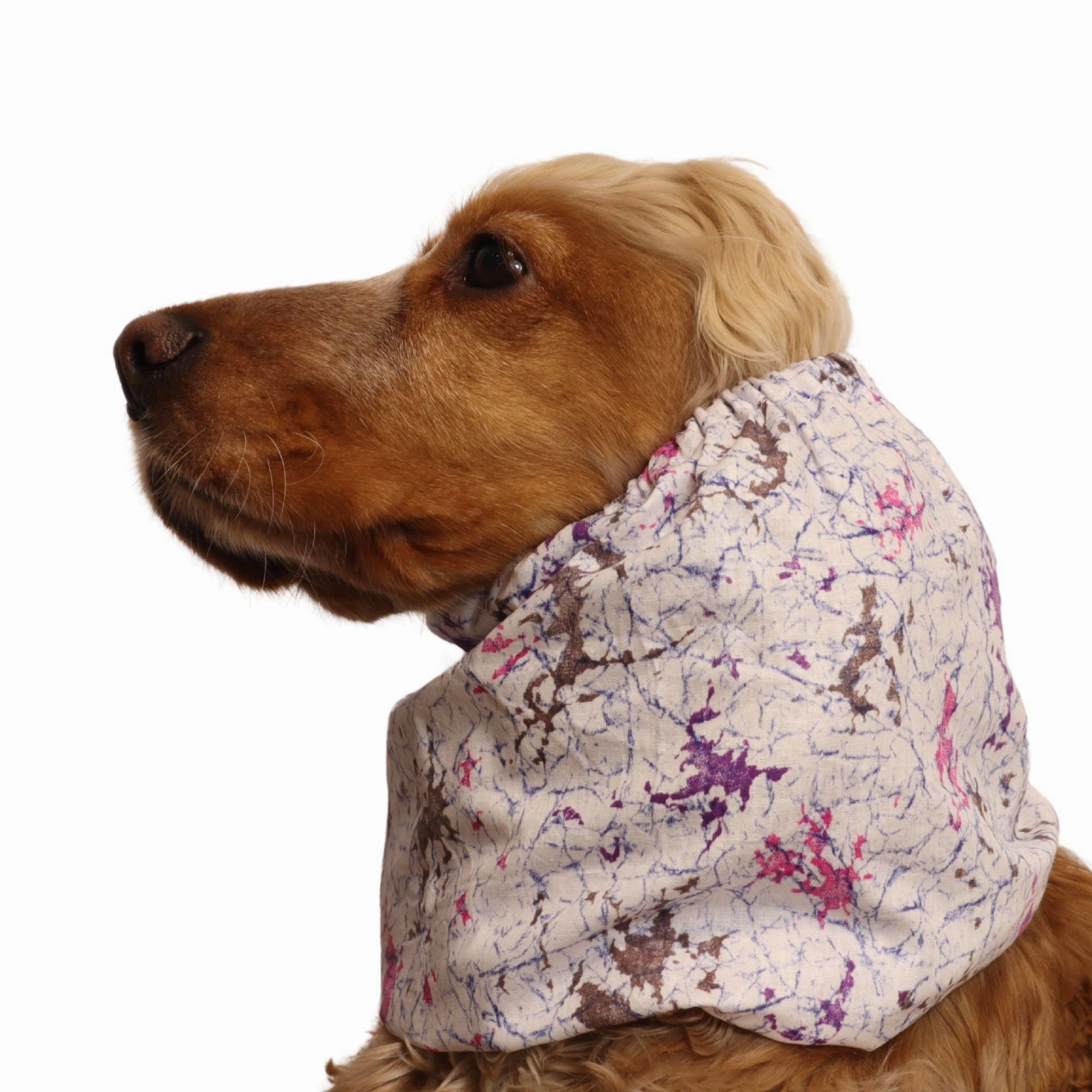 Cotton Dog Snood | Galaxy Drift
