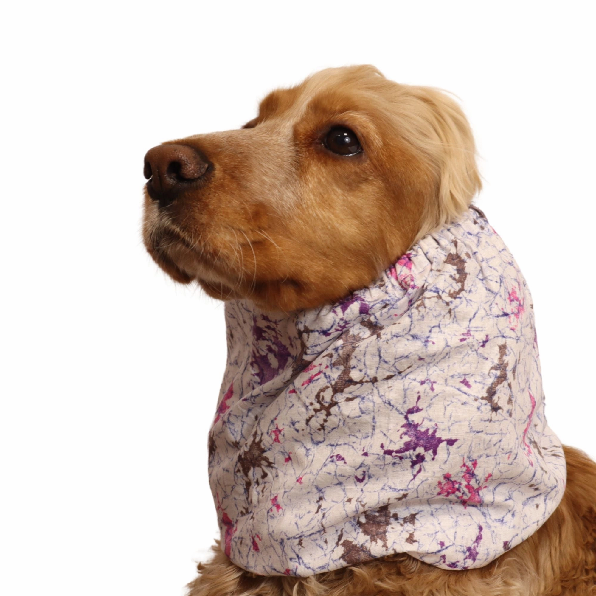 Cotton Dog Snood | Galaxy Drift