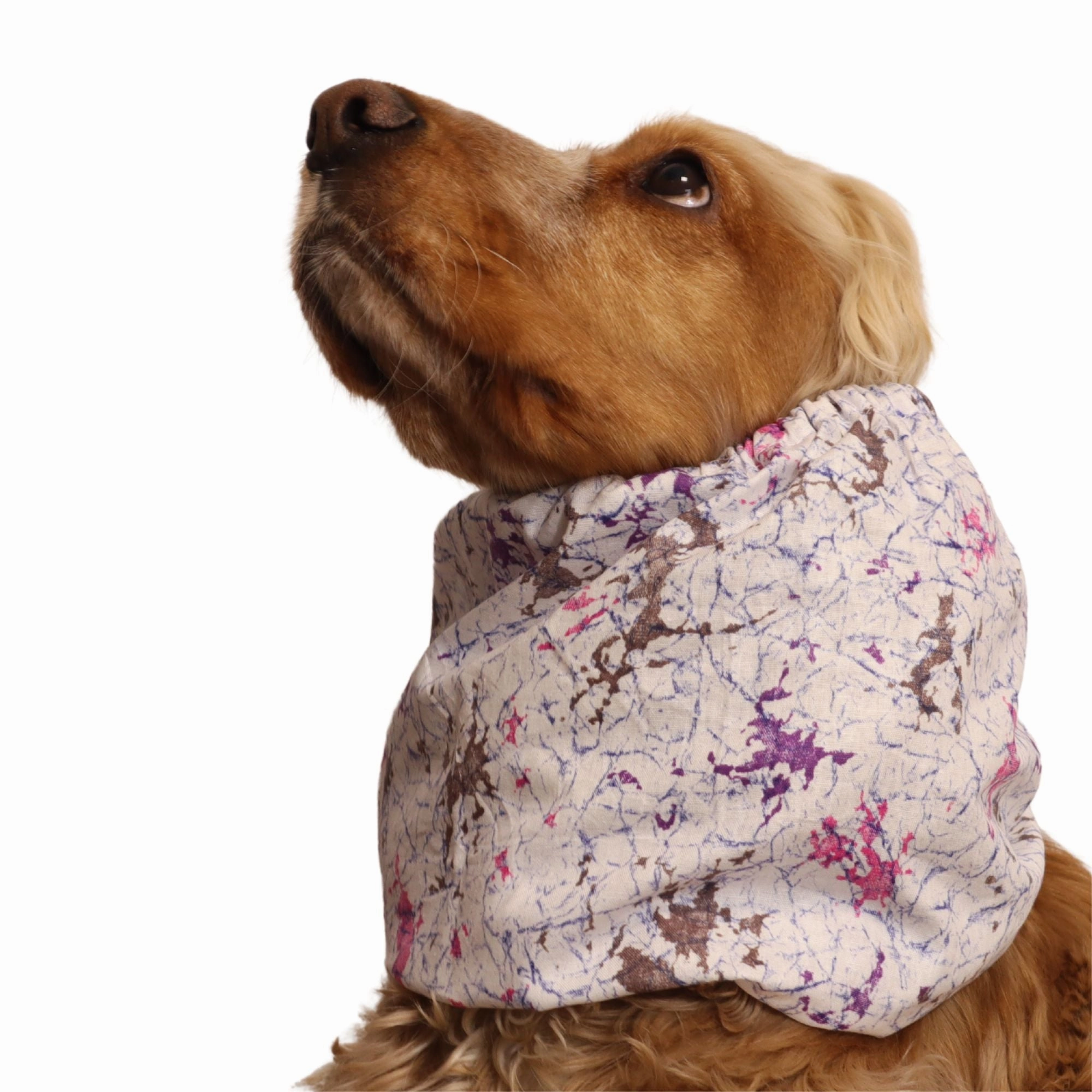 Cotton Dog Snood | Galaxy Drift