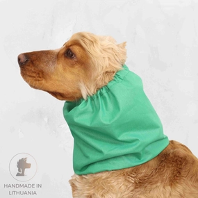 Cotton Dog Snood | Green