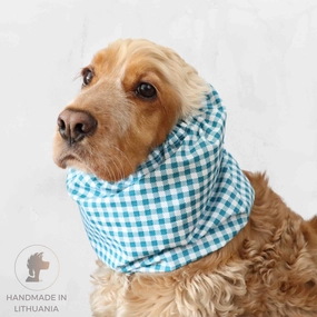 Cotton Dog Snood | Green Cells