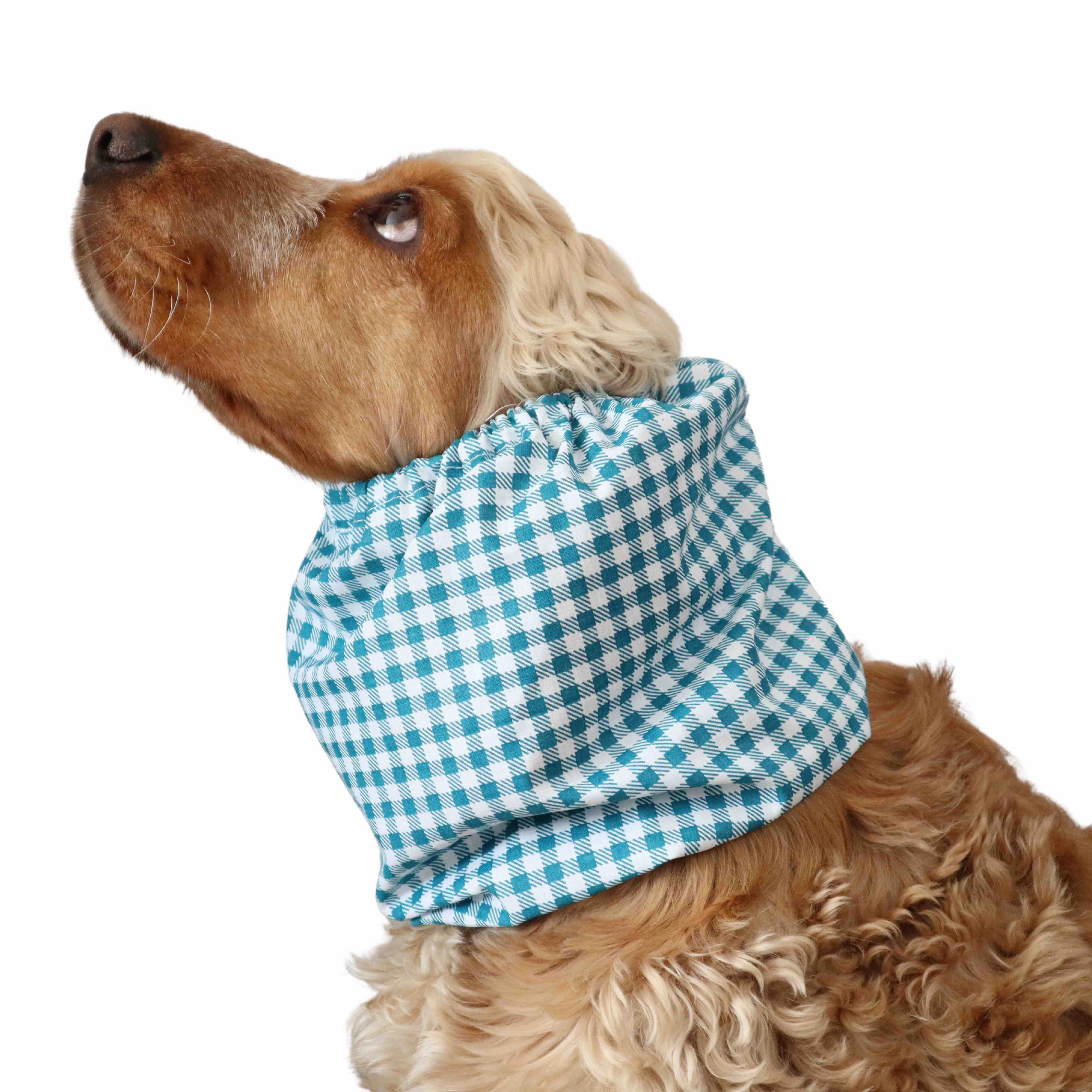 Cotton Dog Snood | Green Cells
