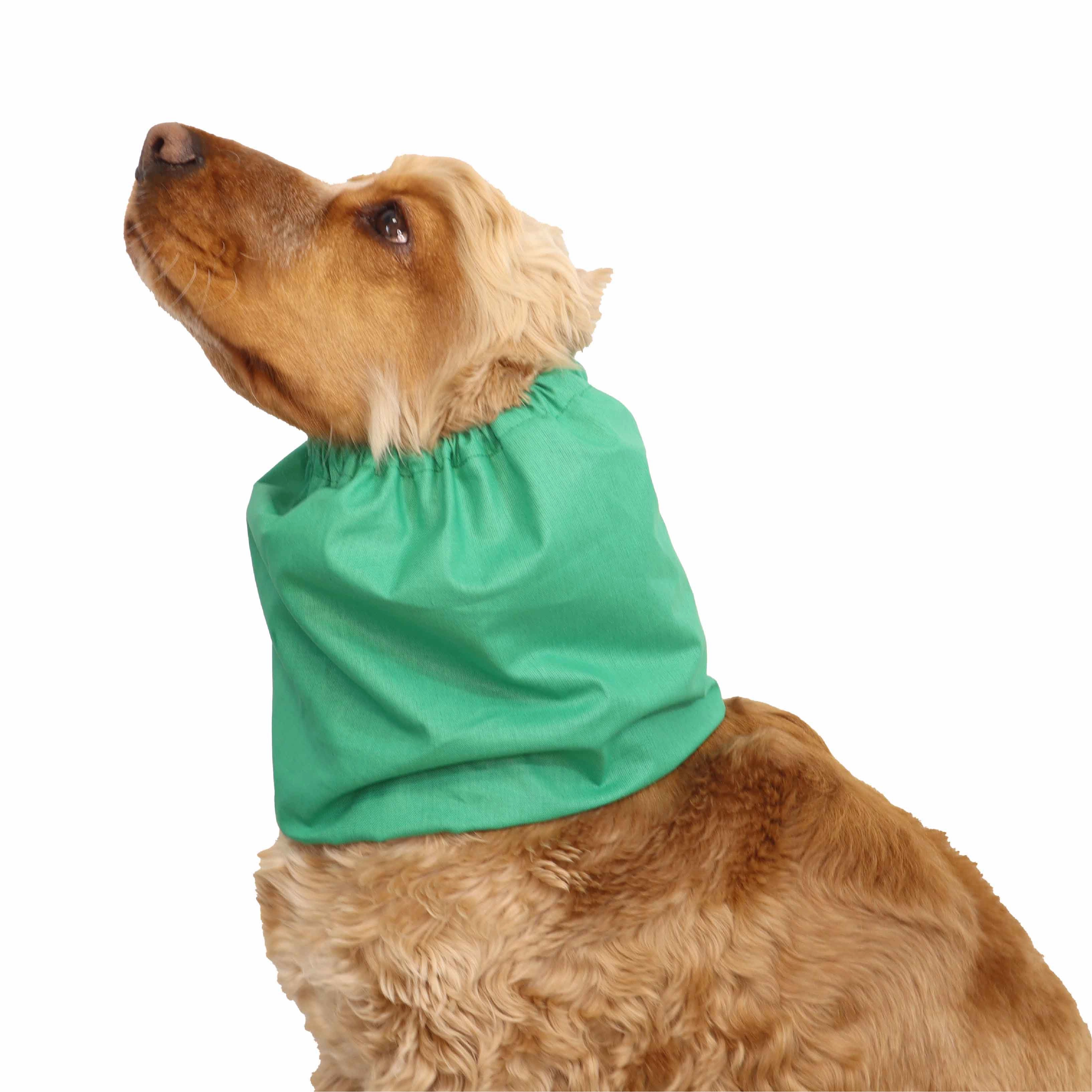Cotton Dog Snood | Green