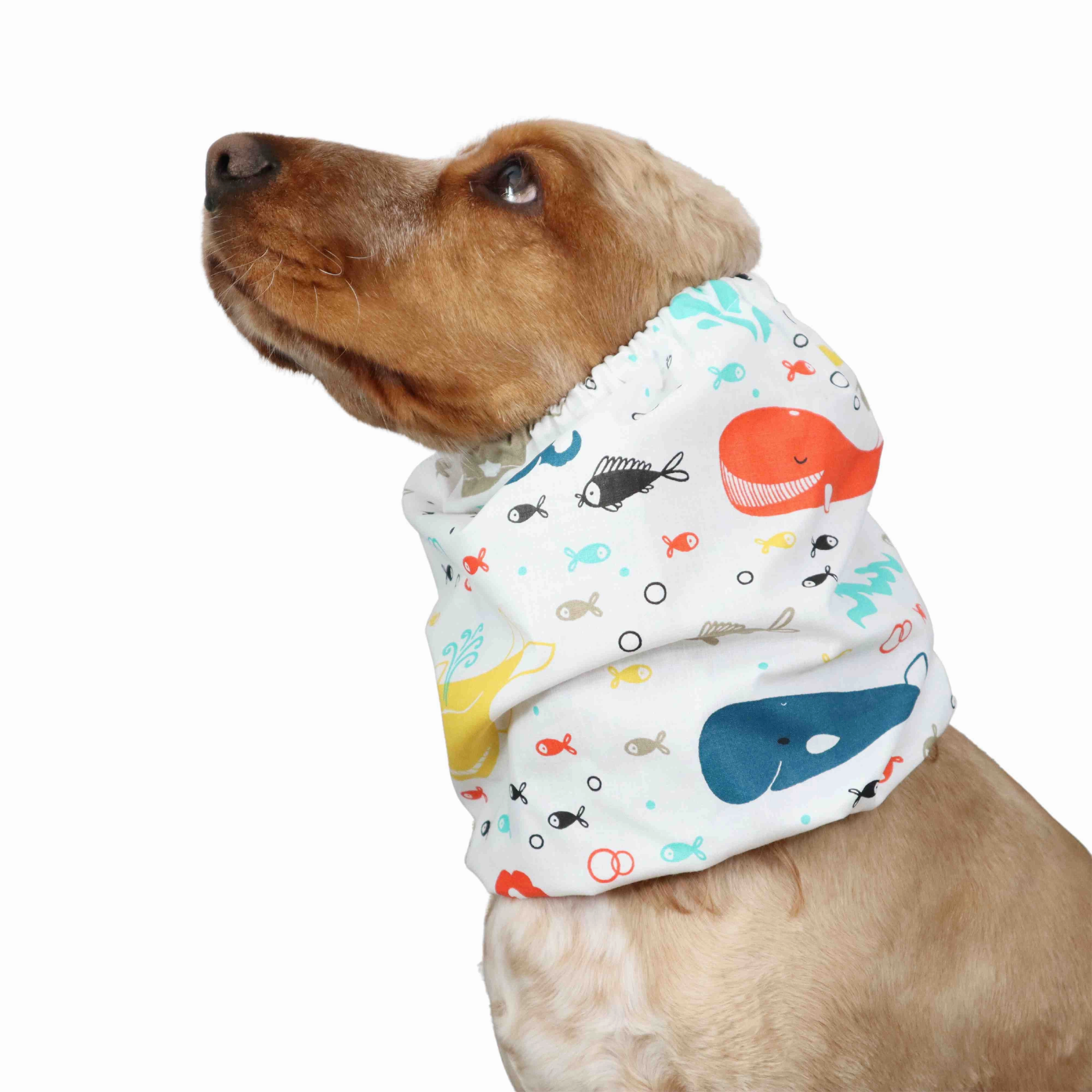 Cotton Dog Snood | Happy Whales