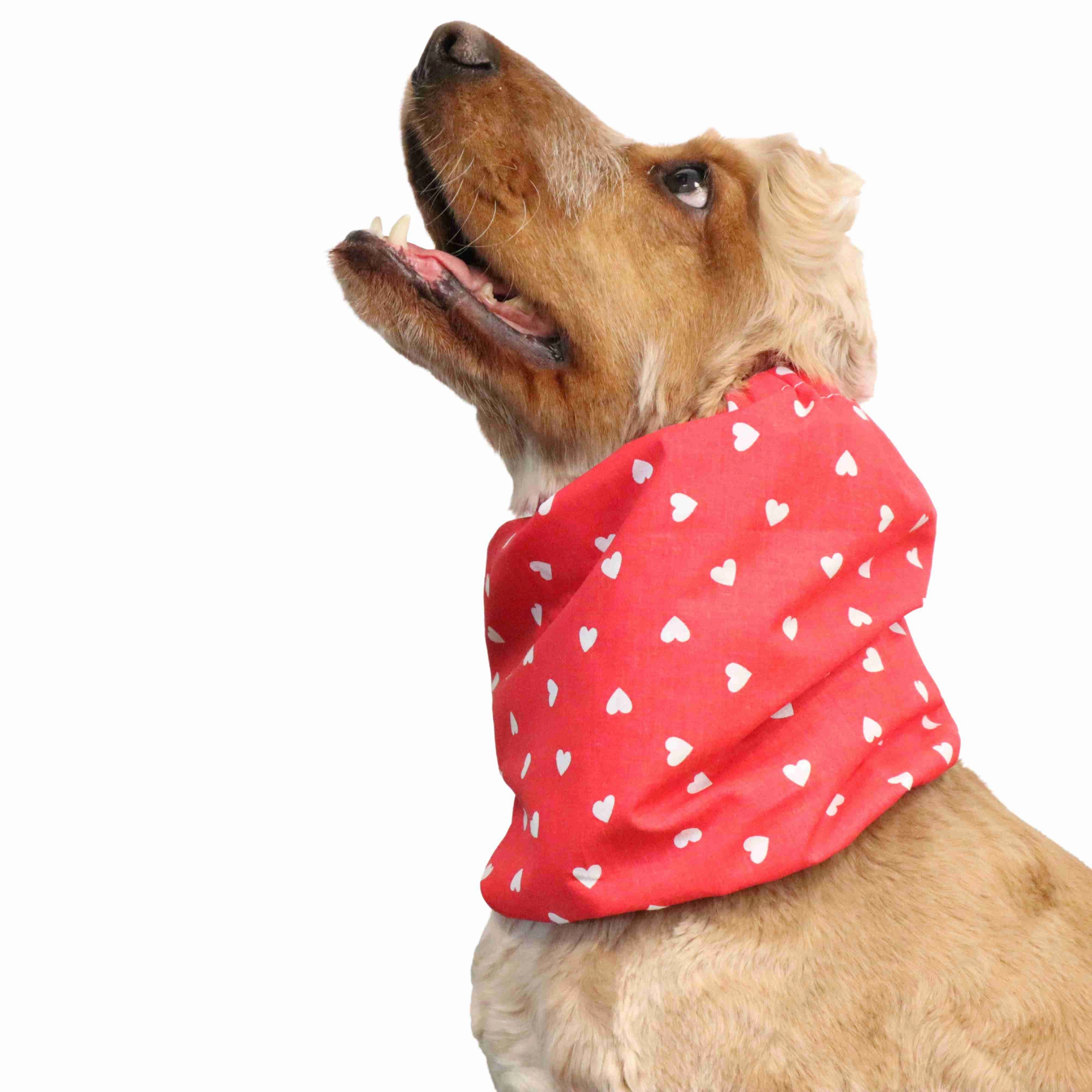 Cotton Dog Snood | Hearts in Red