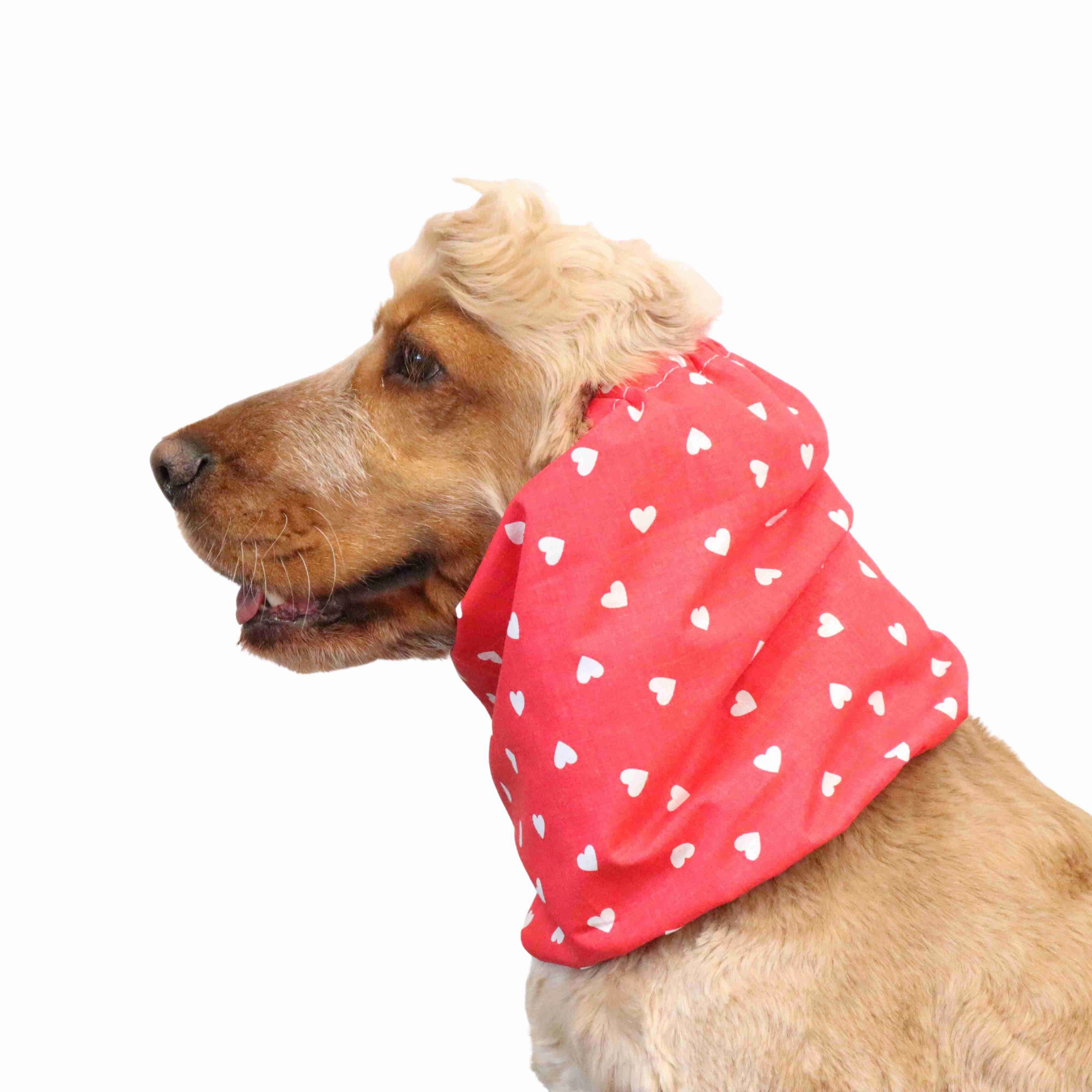 Cotton Dog Snood | Hearts in Red