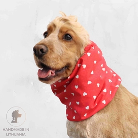 Cotton Dog Snood | Hearts in Red