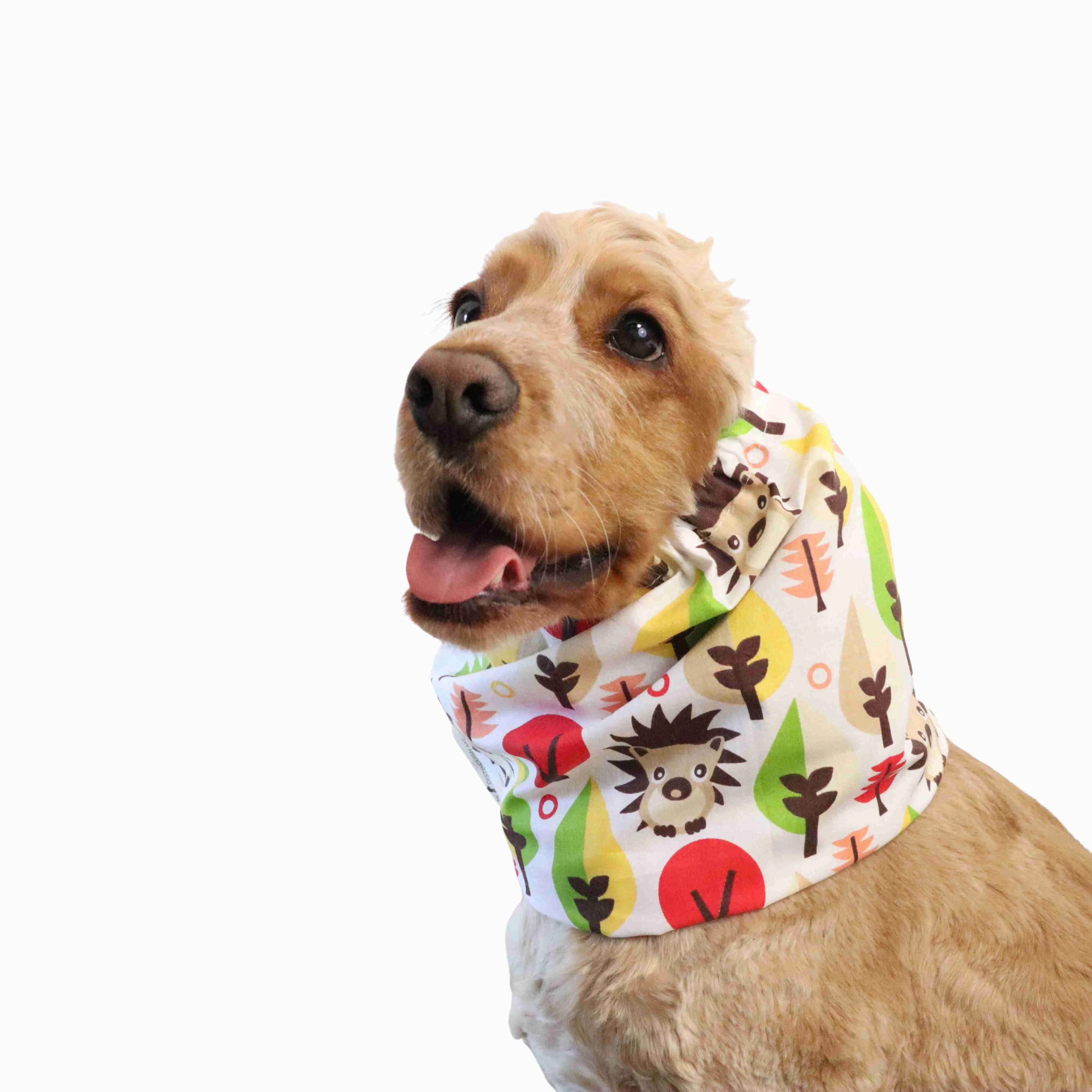 Cotton Dog Snood | Hedgehog in White