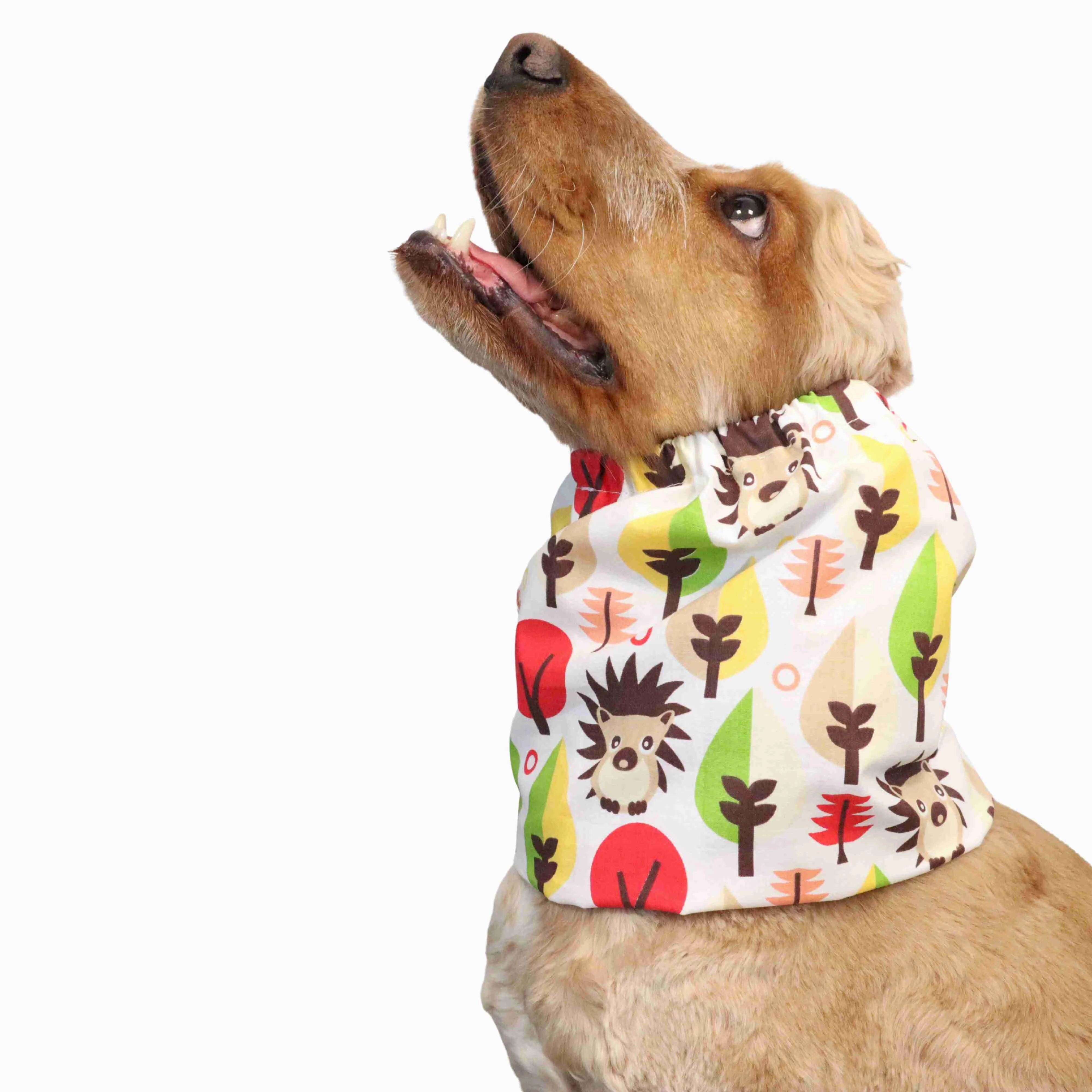 Cotton Dog Snood | Hedgehog in White