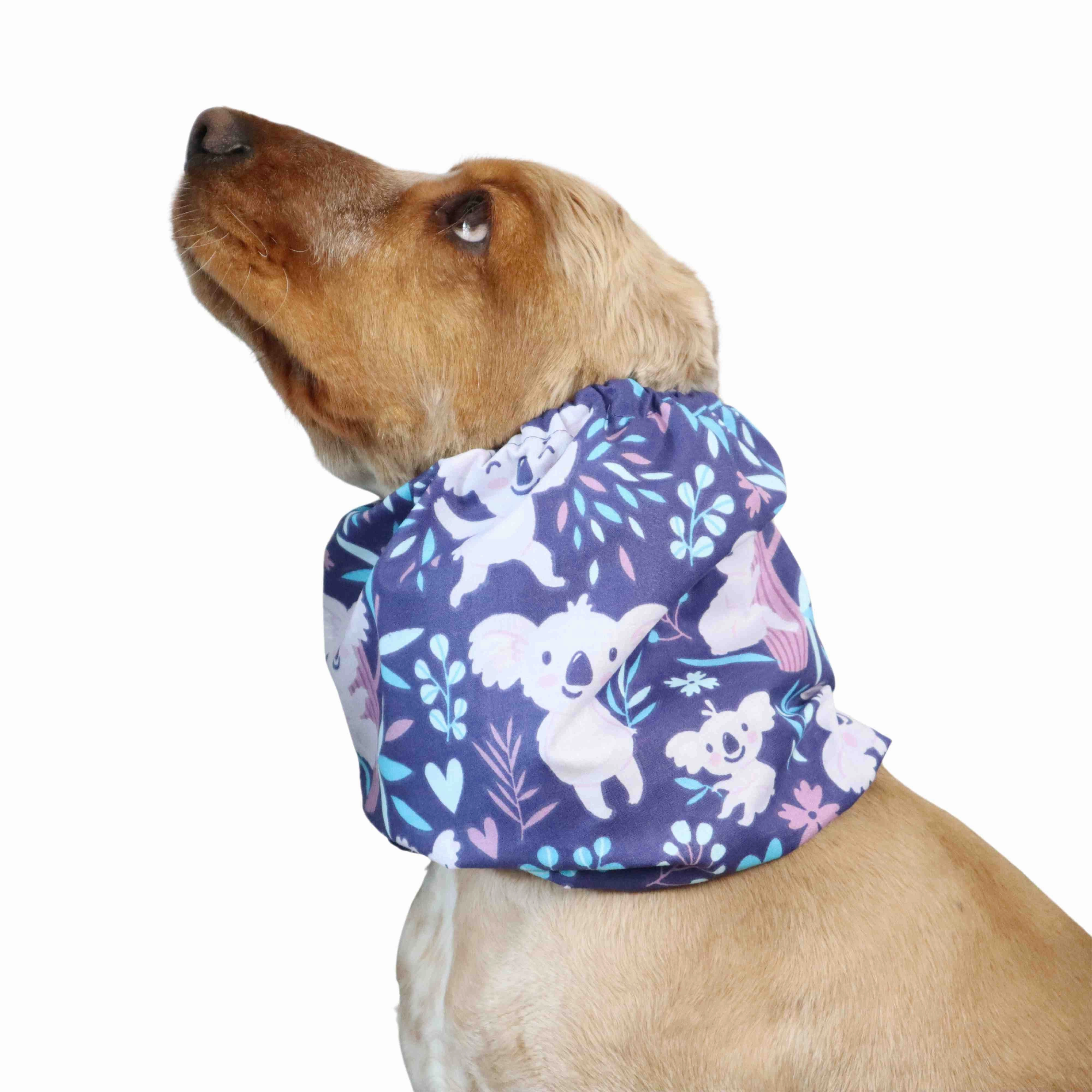 Cotton Dog Snood | Koala