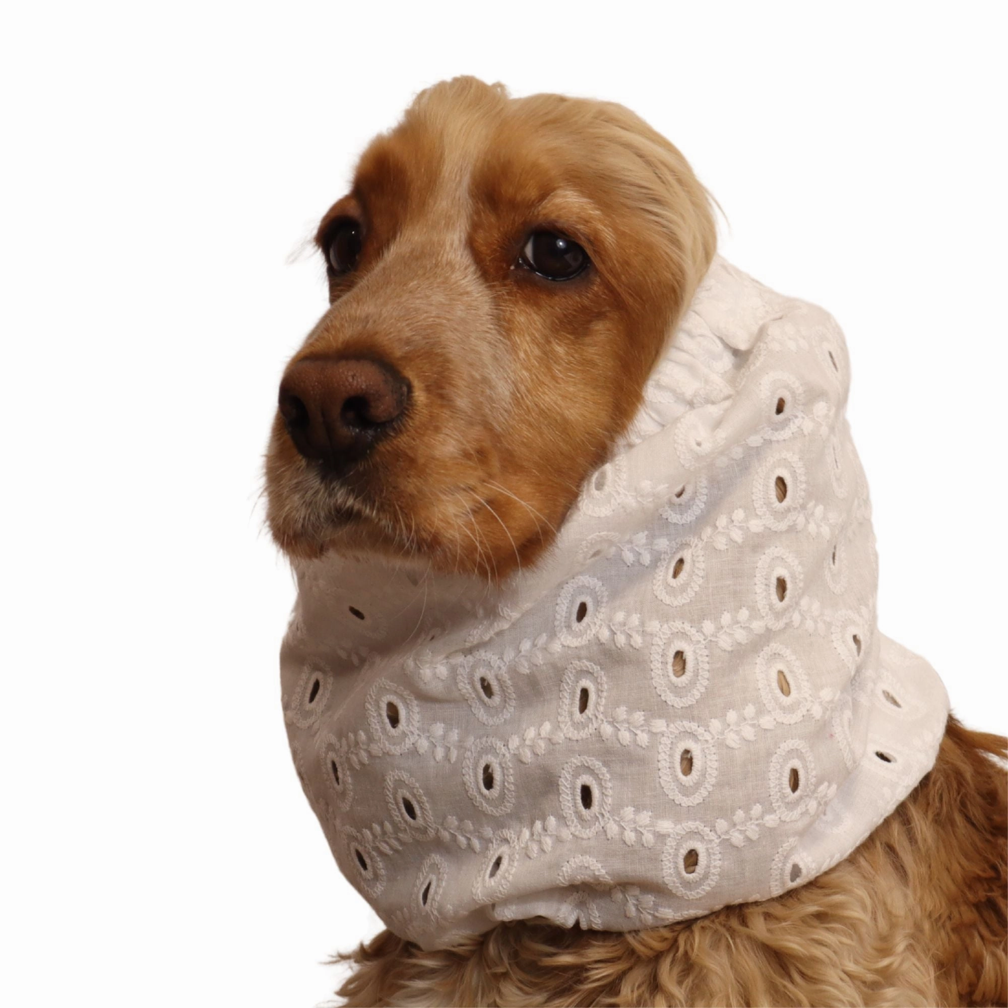 Cotton Dog Snood | Lacy Cloud