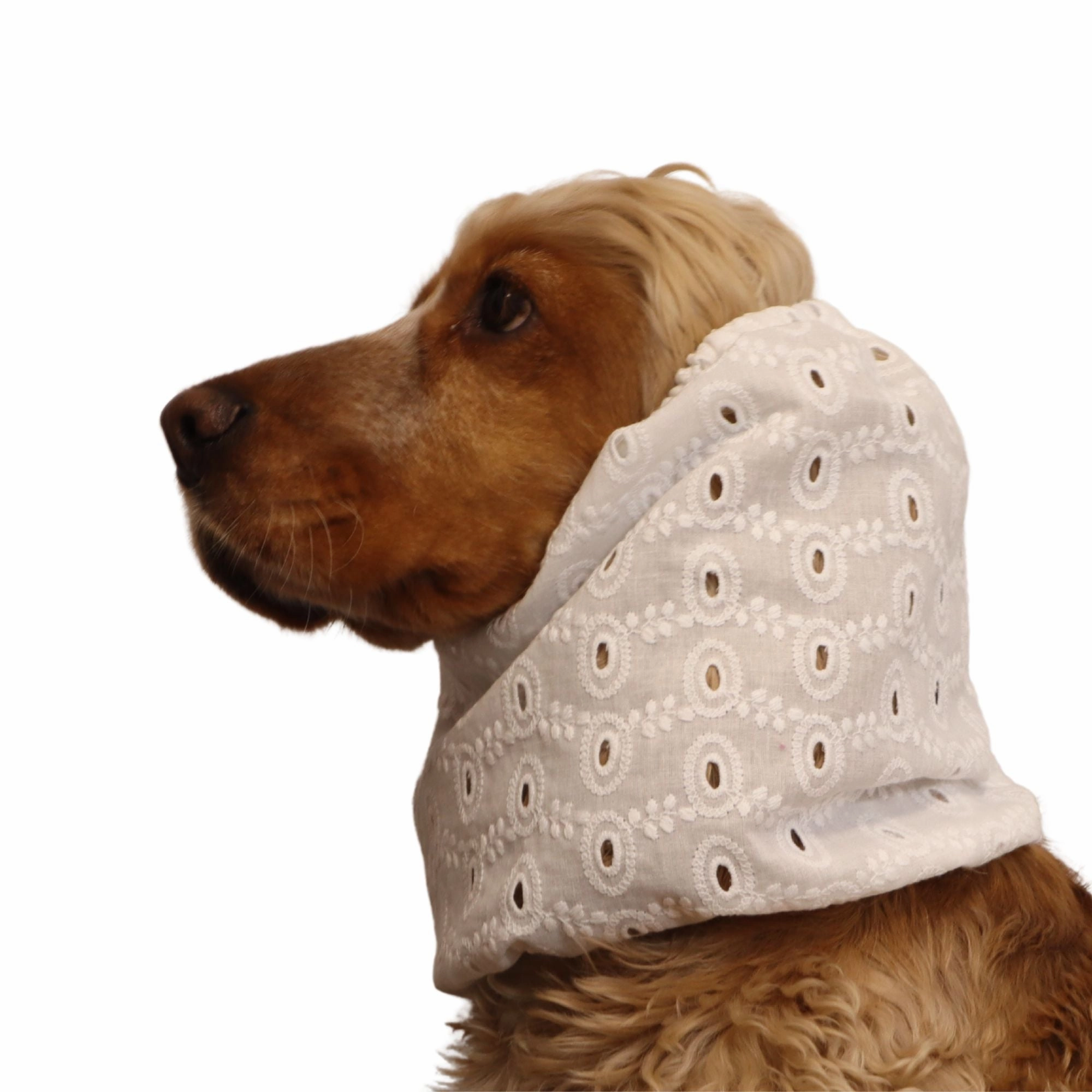 Cotton Dog Snood | Lacy Cloud