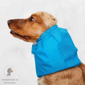 Cotton Dog Snood | Laguna Blue