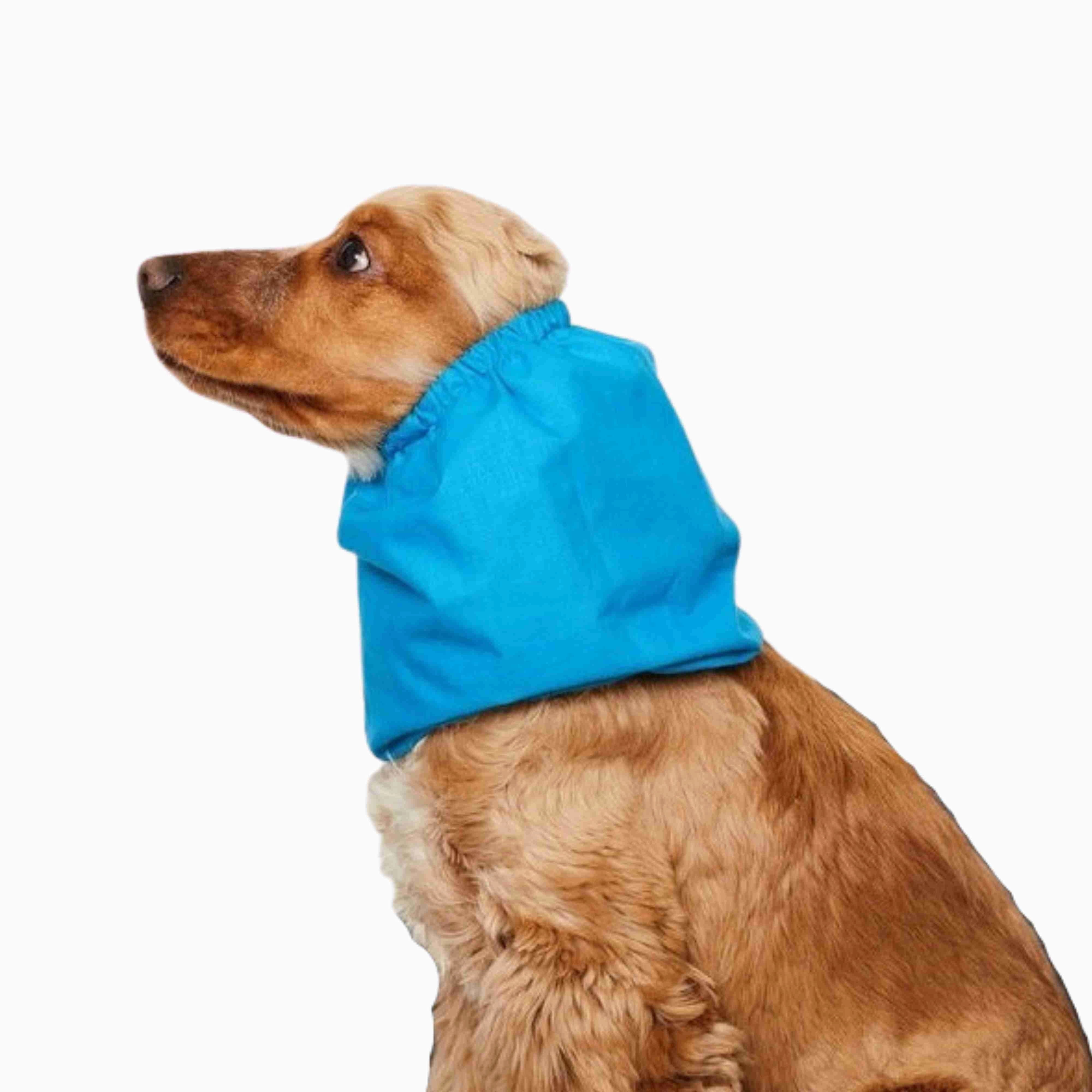 Cotton Dog Snood | Laguna Blue