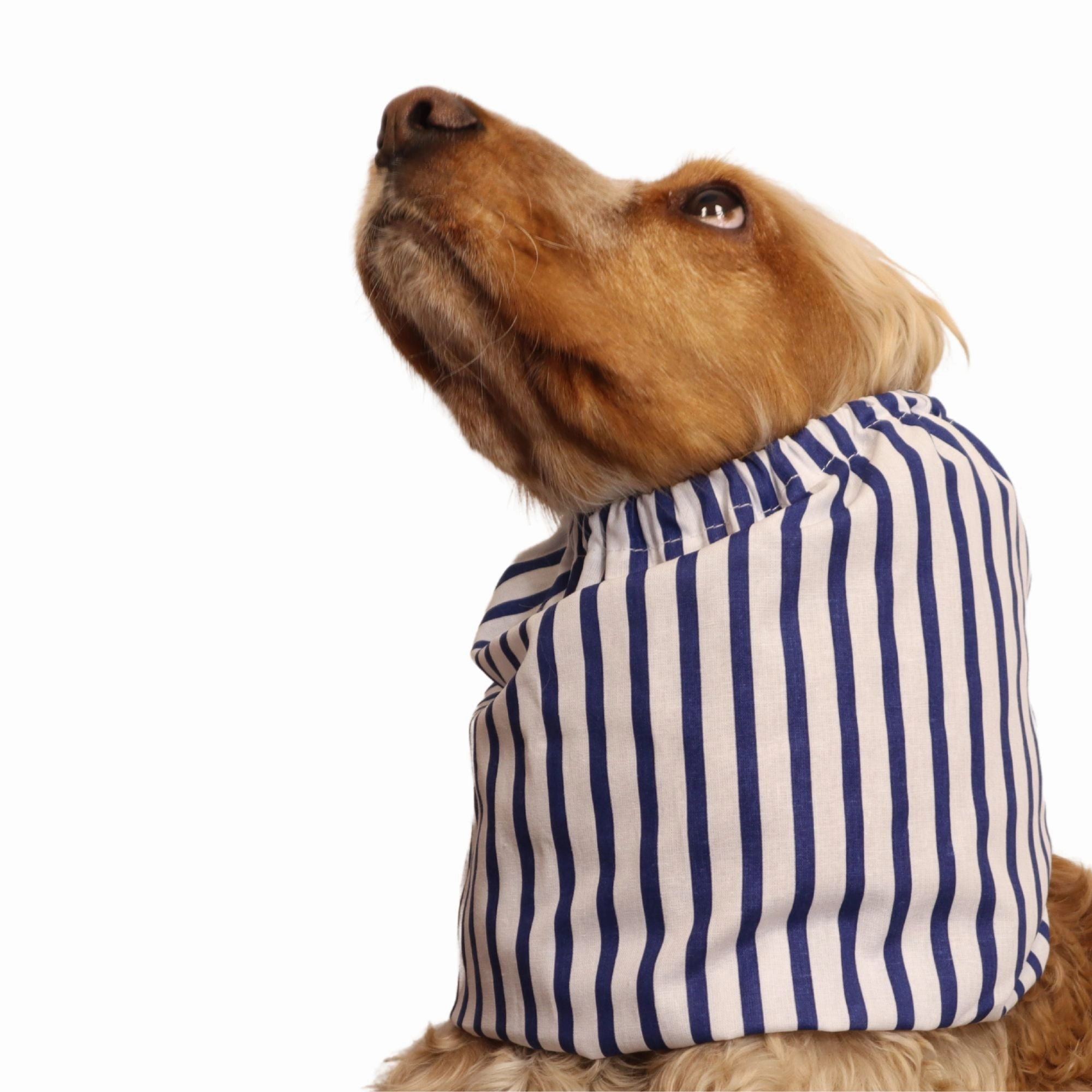 Cotton Dog Snood | Mariner's Classic