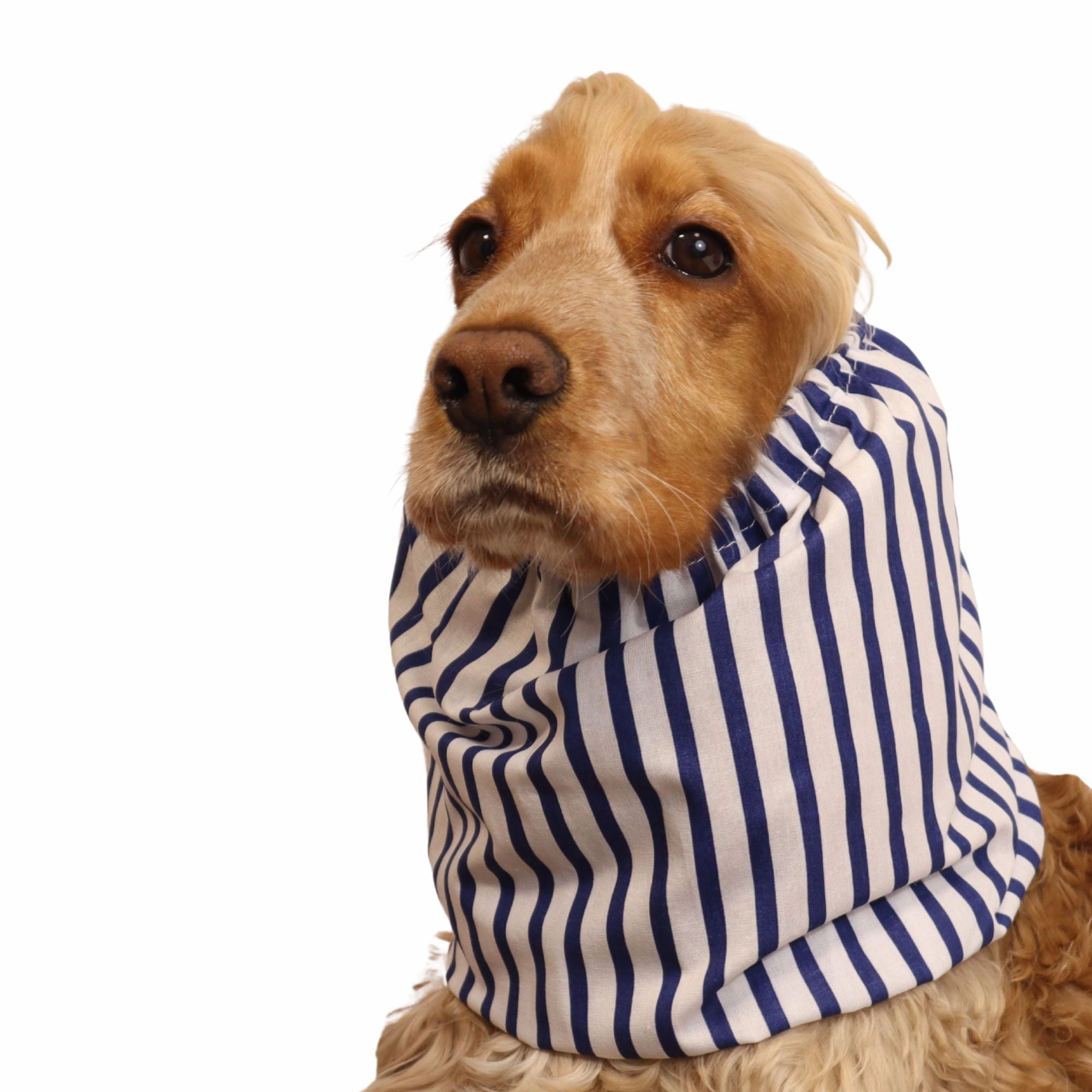 Cotton Dog Snood | Mariner's Classic