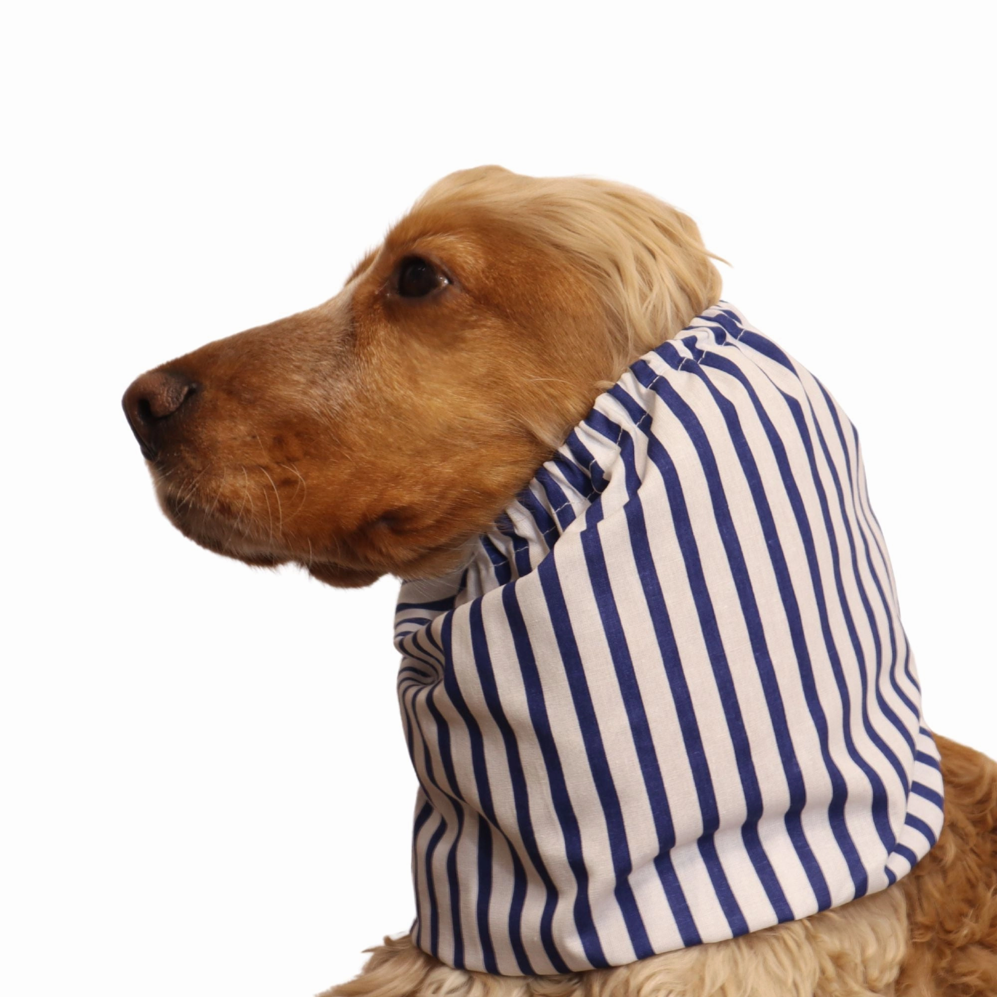 Cotton Dog Snood | Mariner's Classic