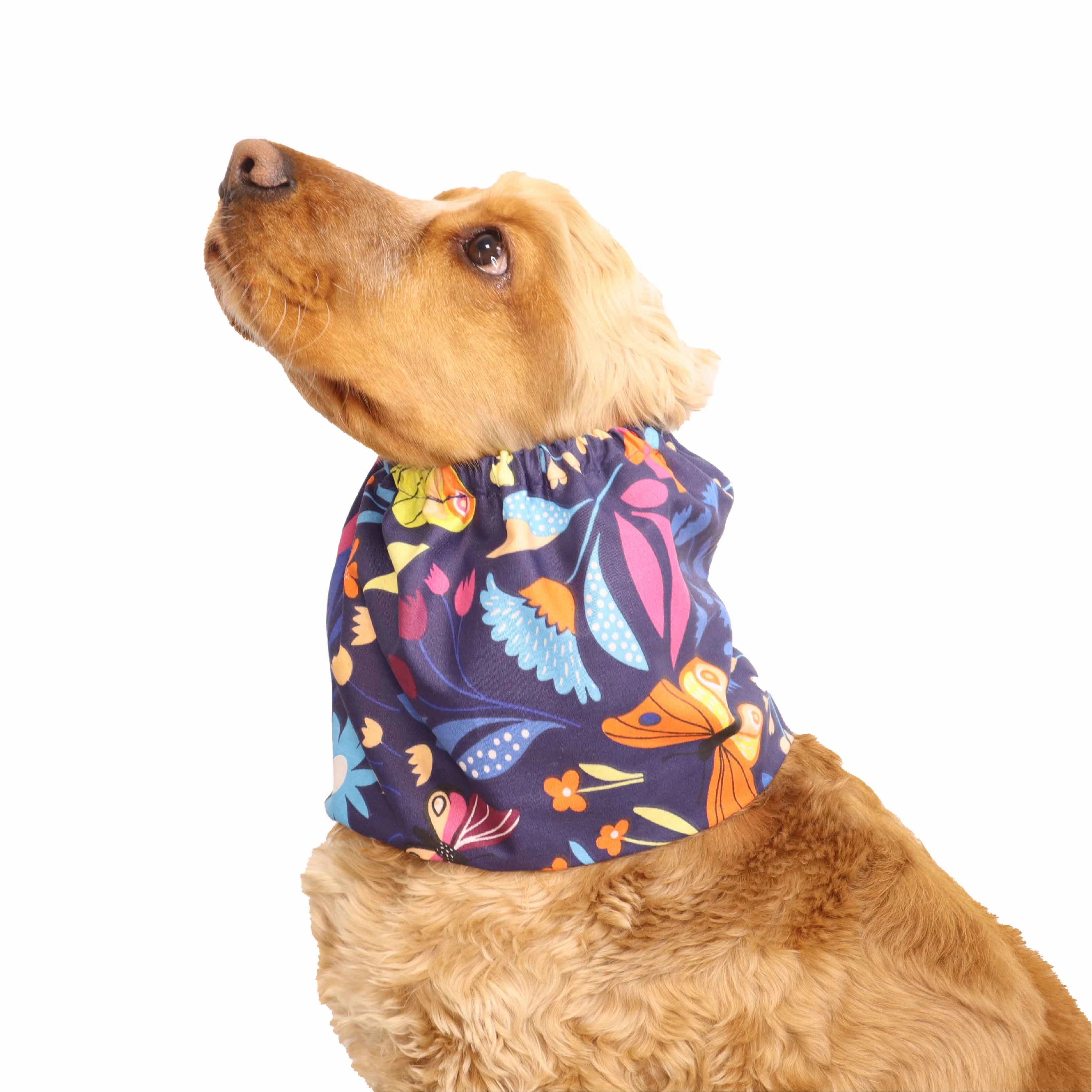 Cotton Dog Snood | Meadow