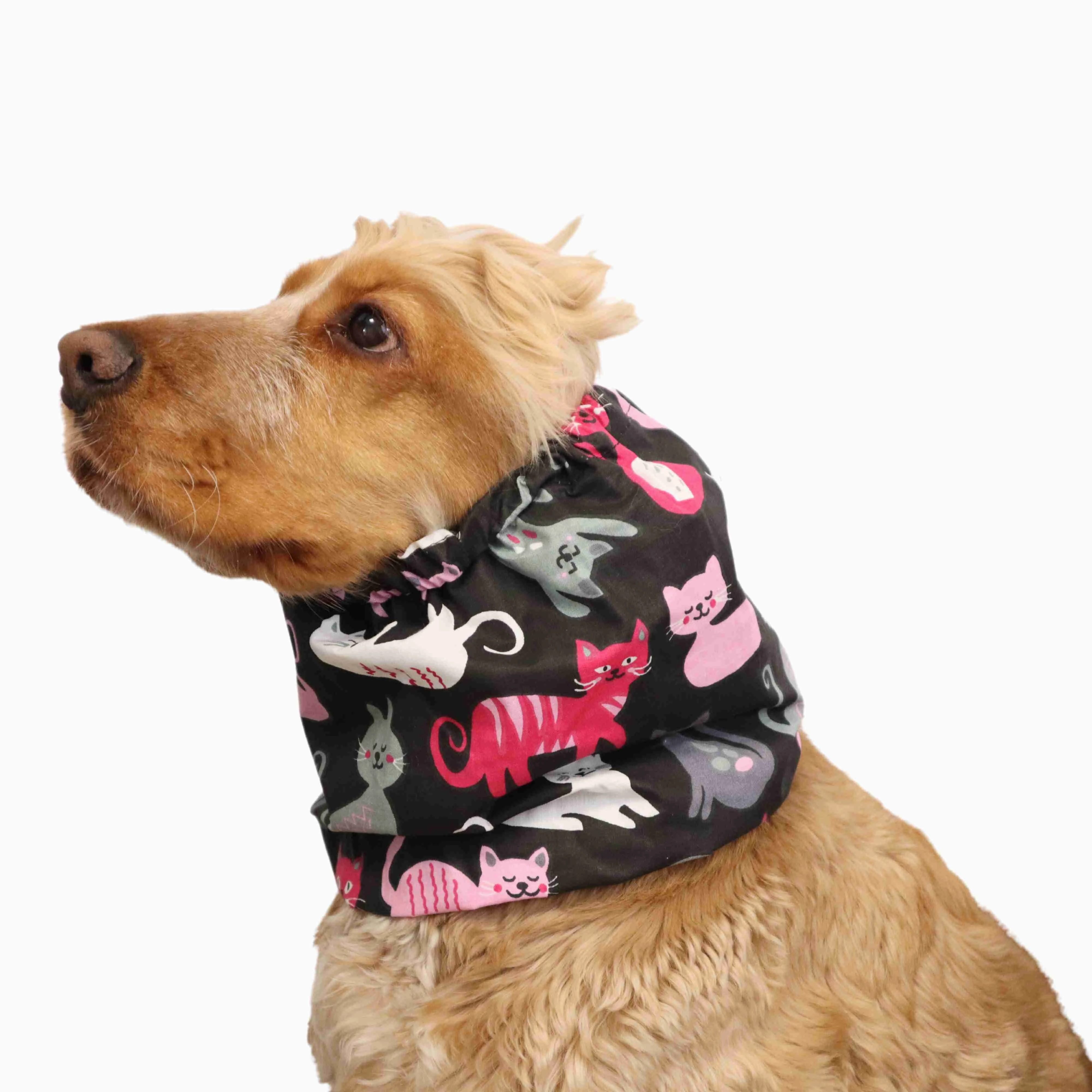 Cotton Dog Snood | Meow Meow