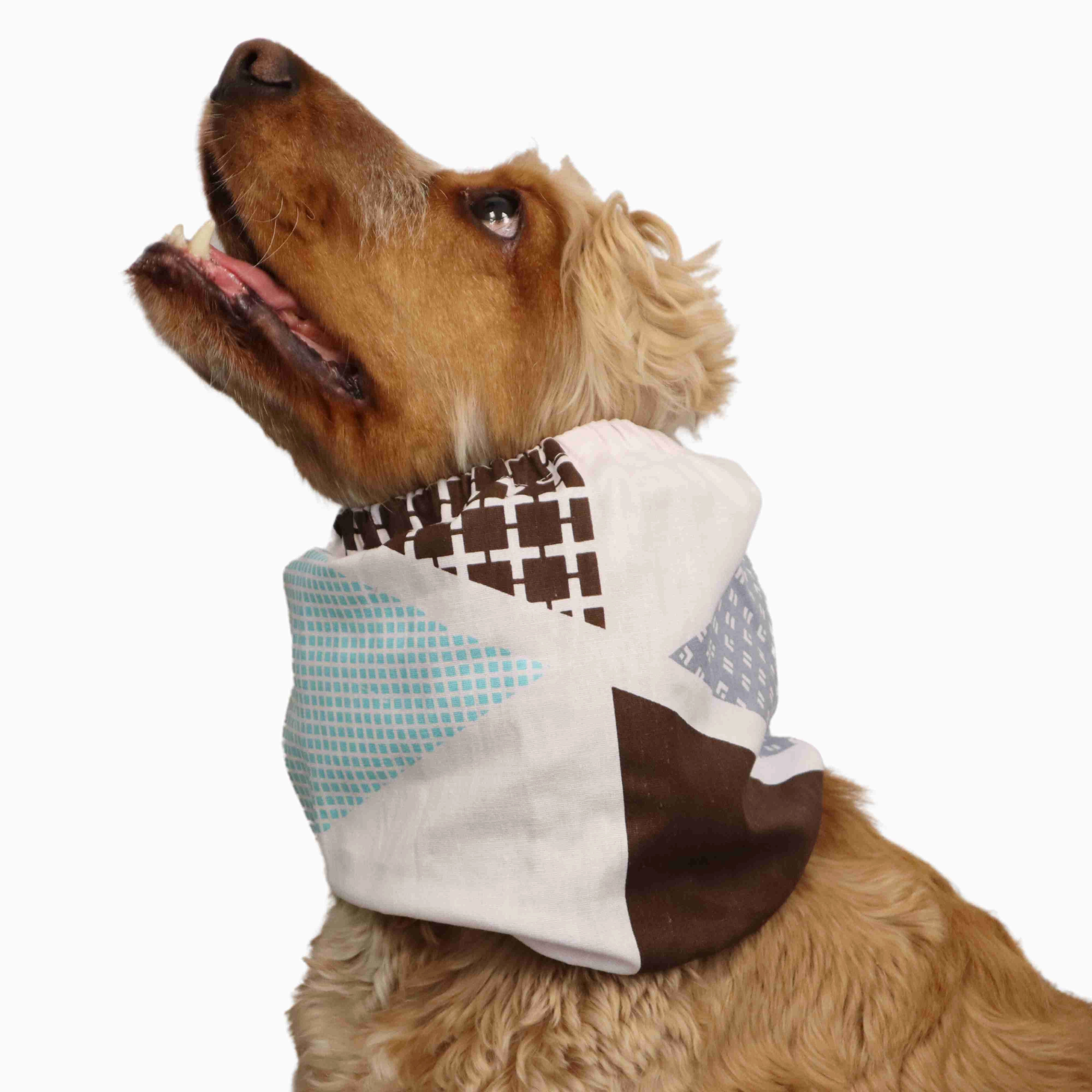 Cotton Dog Snood | Mint Chocolate