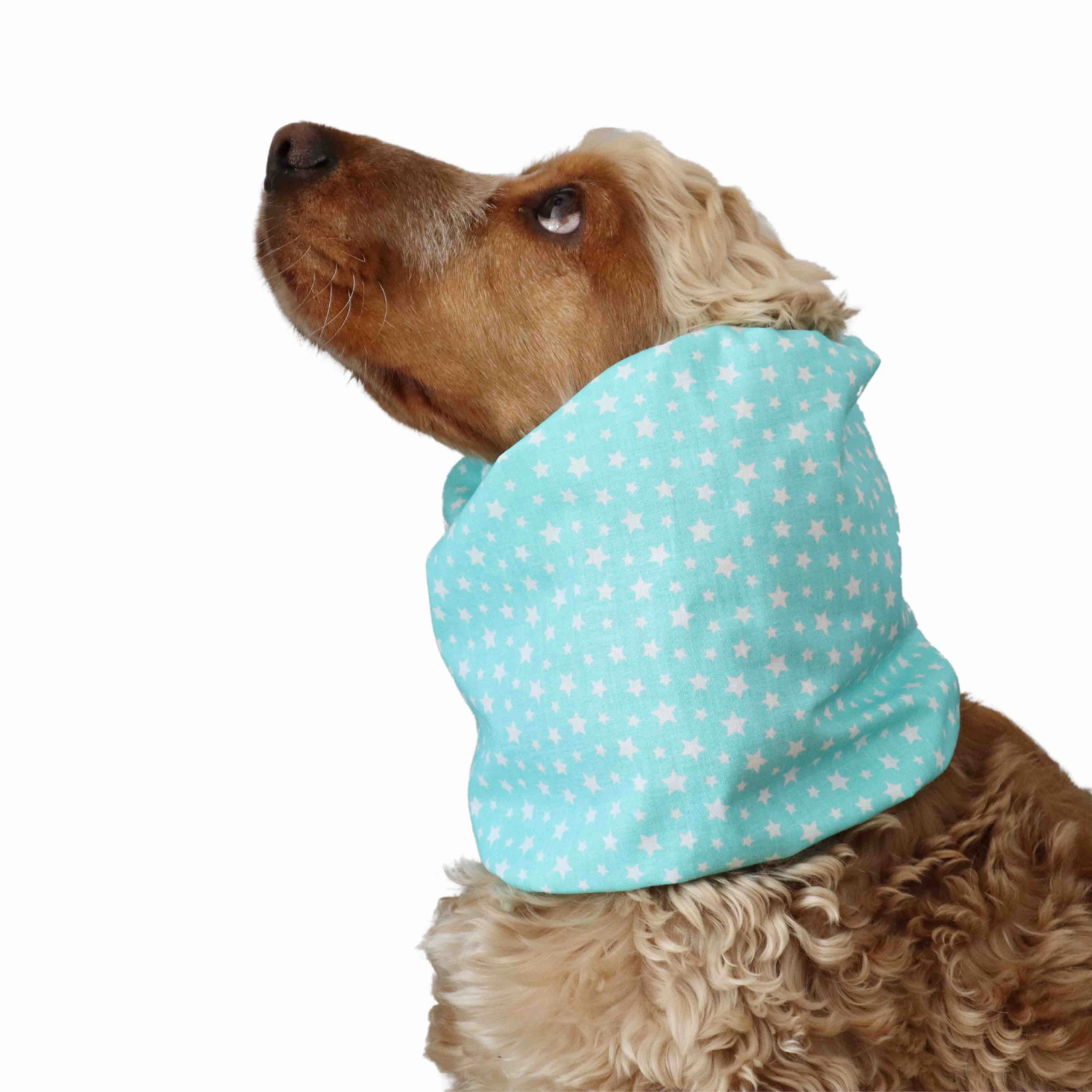 Cotton Dog Snood | Mint Stars