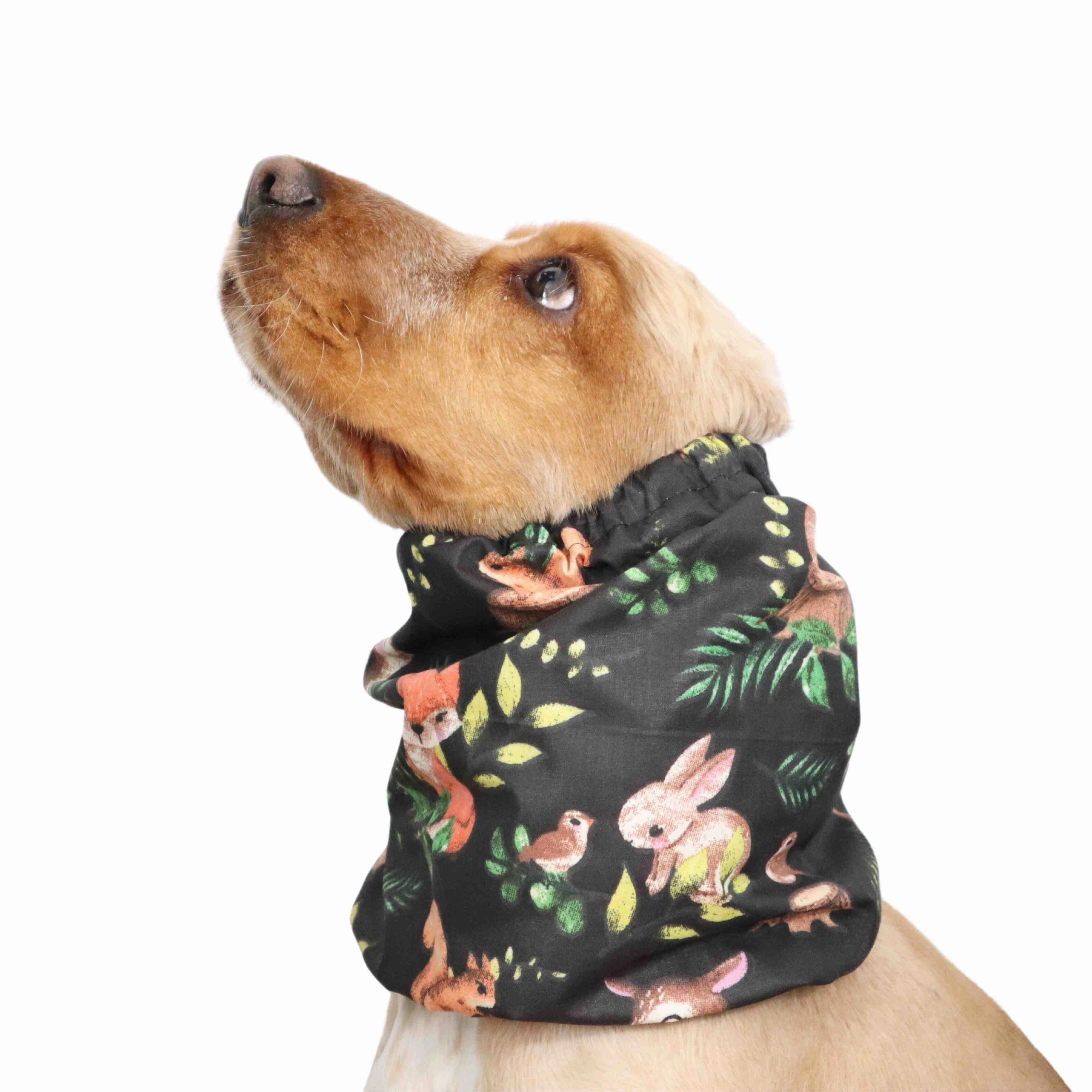Cotton Dog Snood | Night in forest