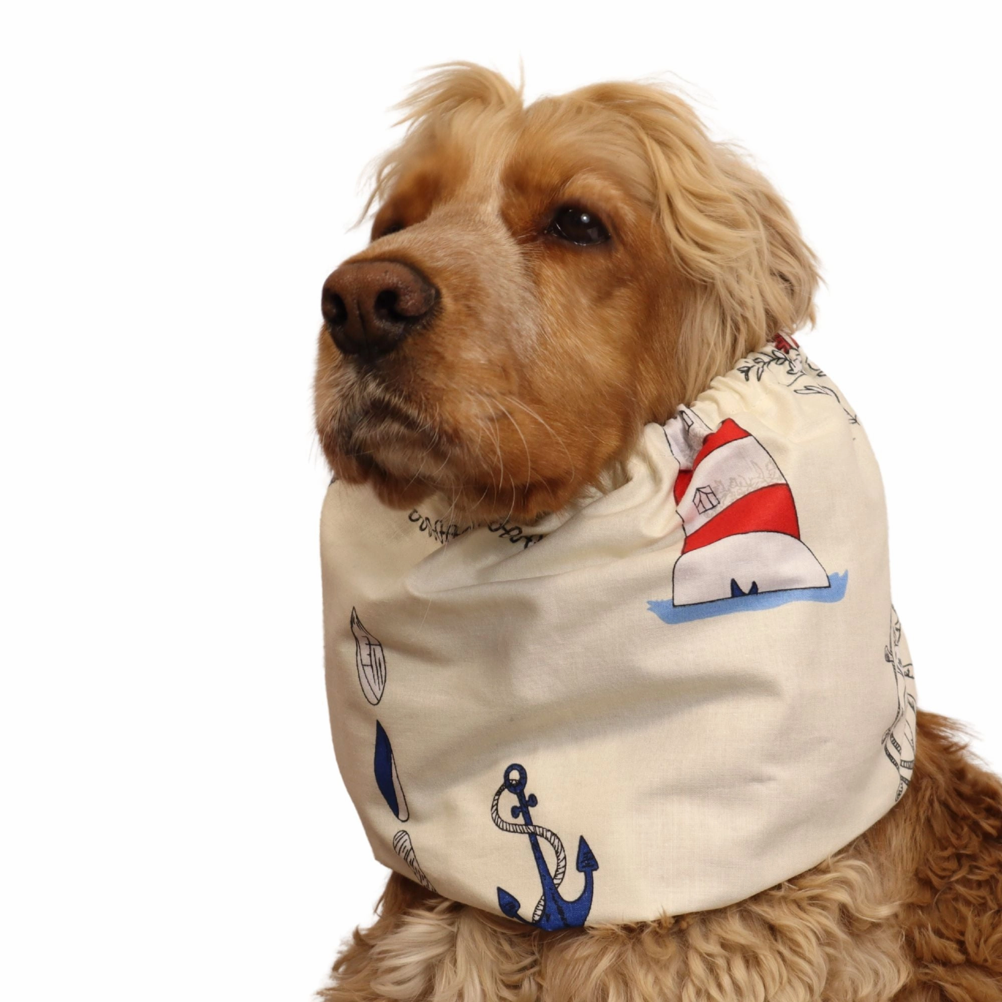 Cotton Dog Snood | Ocean Explorer
