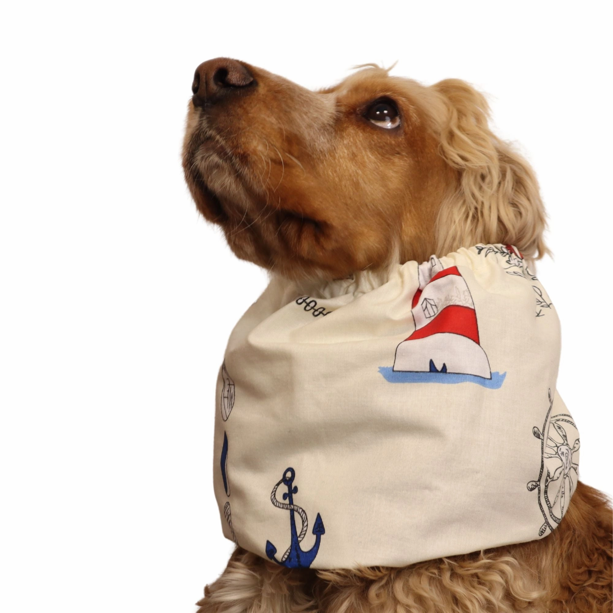 Cotton Dog Snood | Ocean Explorer