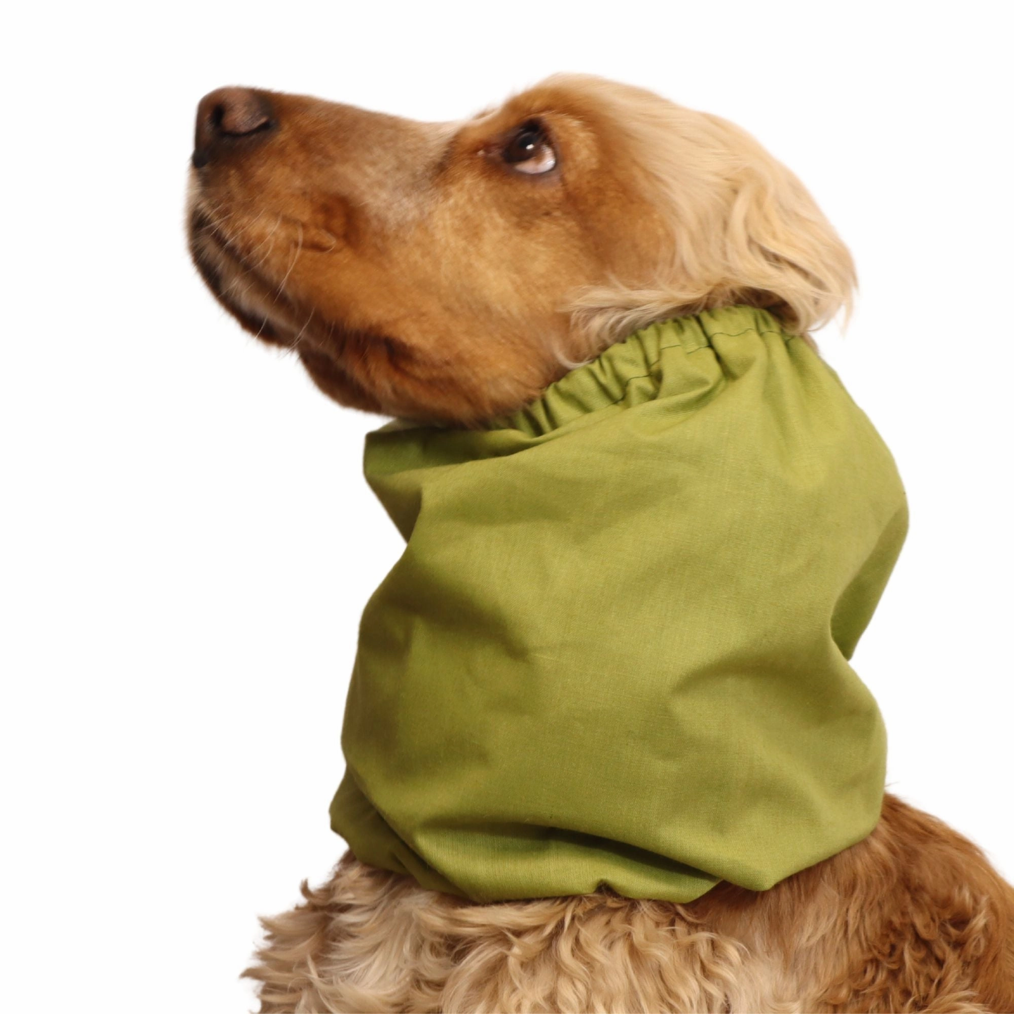 Cotton Dog Snood | Olive Green