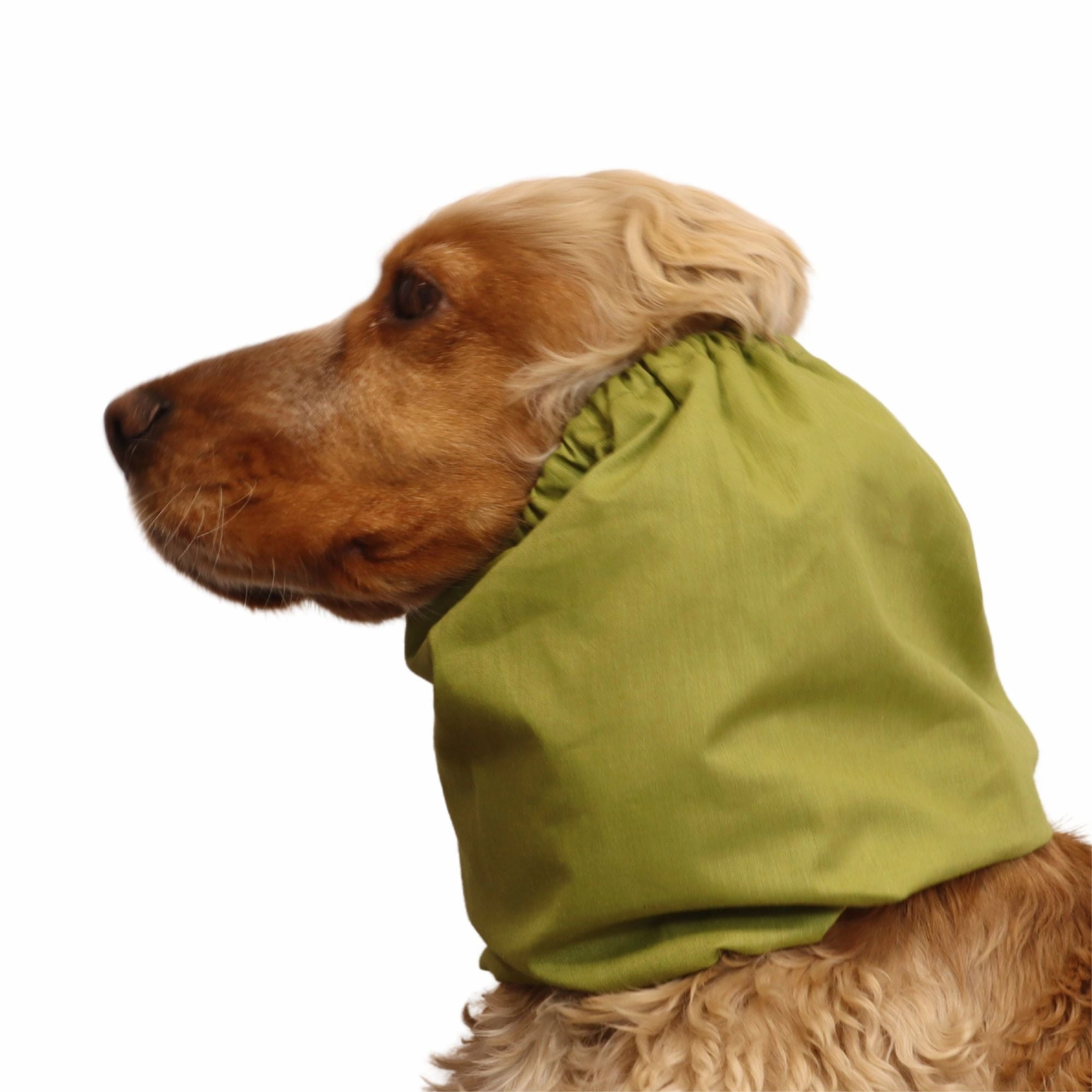 Cotton Dog Snood | Olive Green