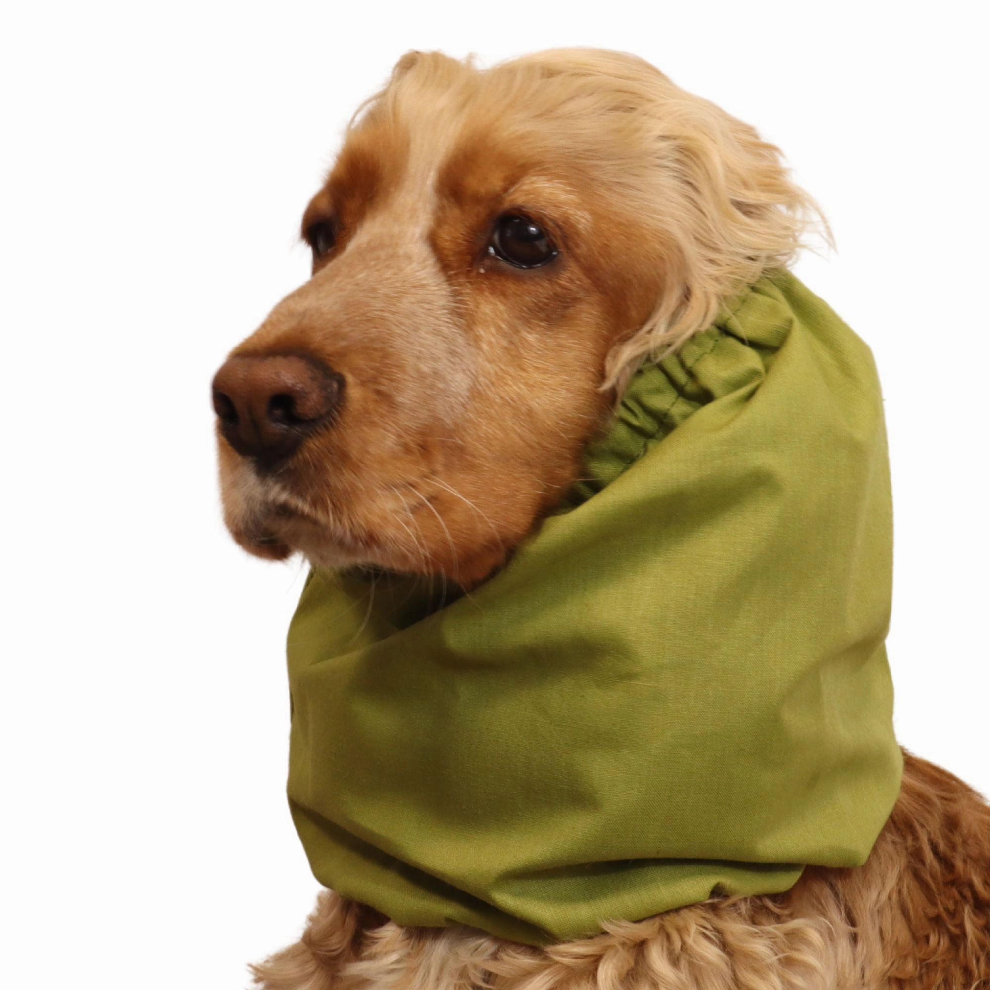 Cotton Dog Snood | Olive Green