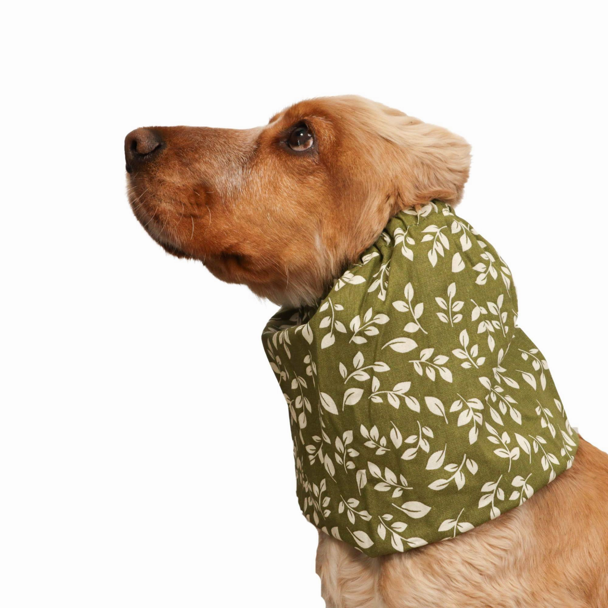 Cotton Dog Snood | Olive Grove