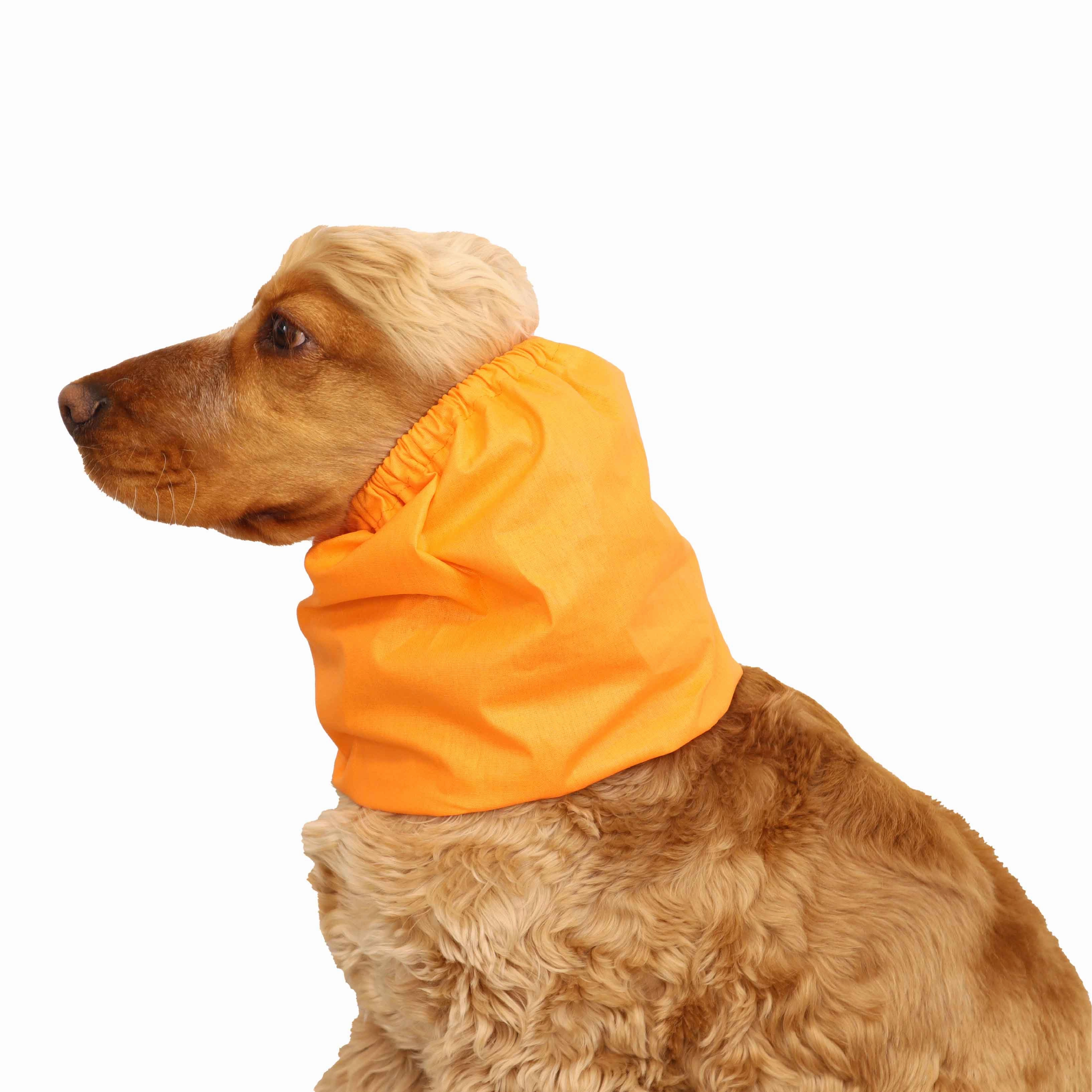 Cotton Dog Snood | Orange