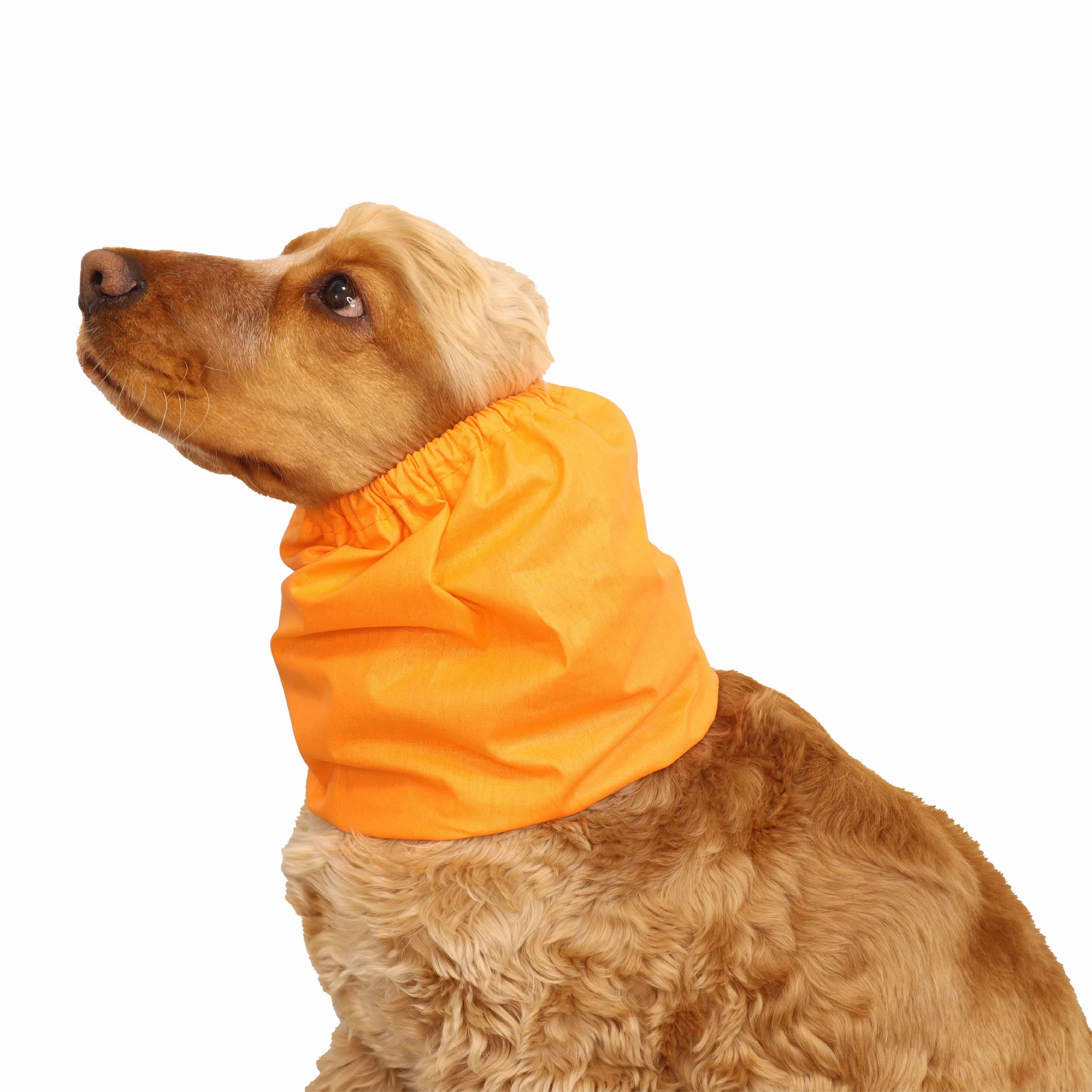 Cotton Dog Snood | Orange