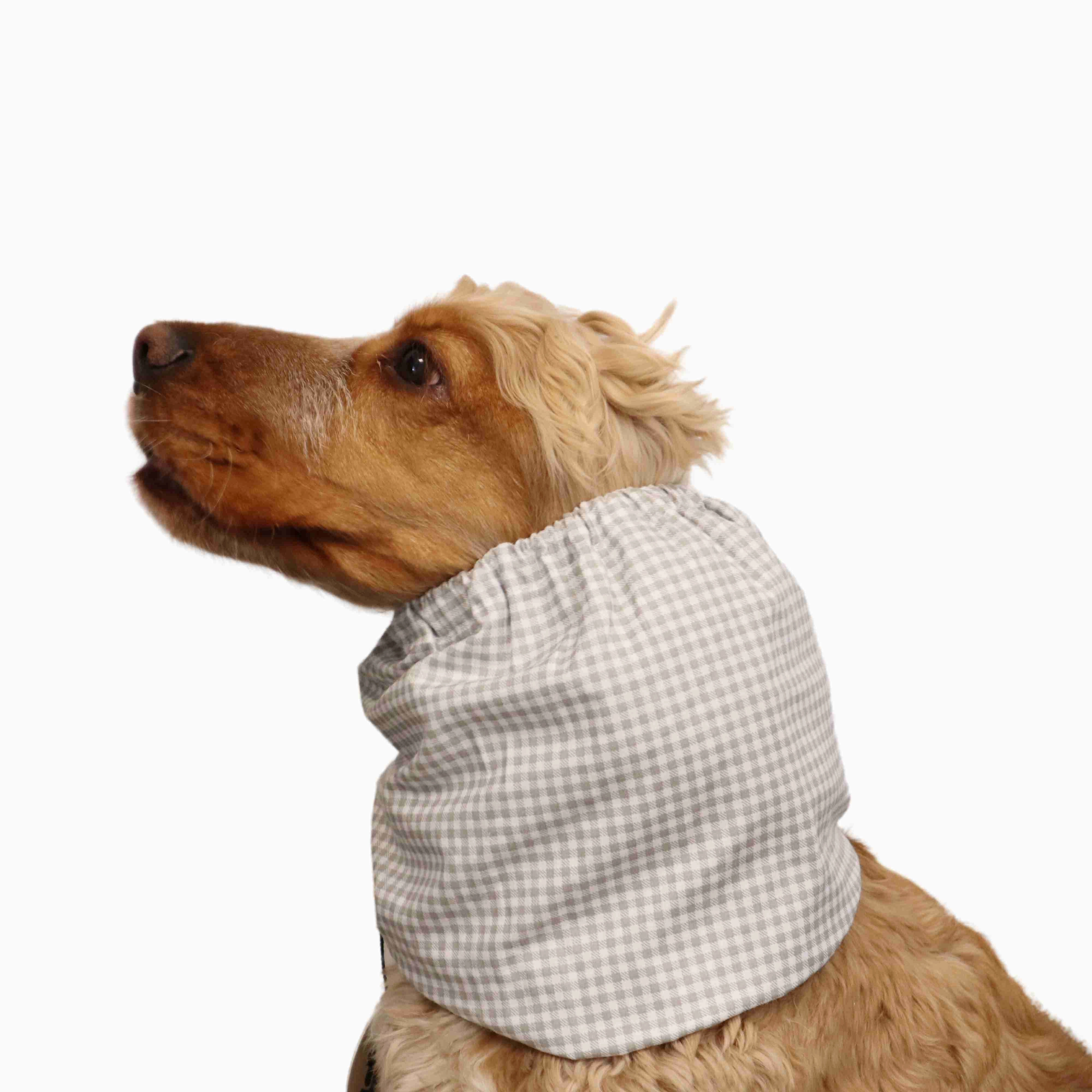 Cotton Dog Snood | Pastel Checkered
