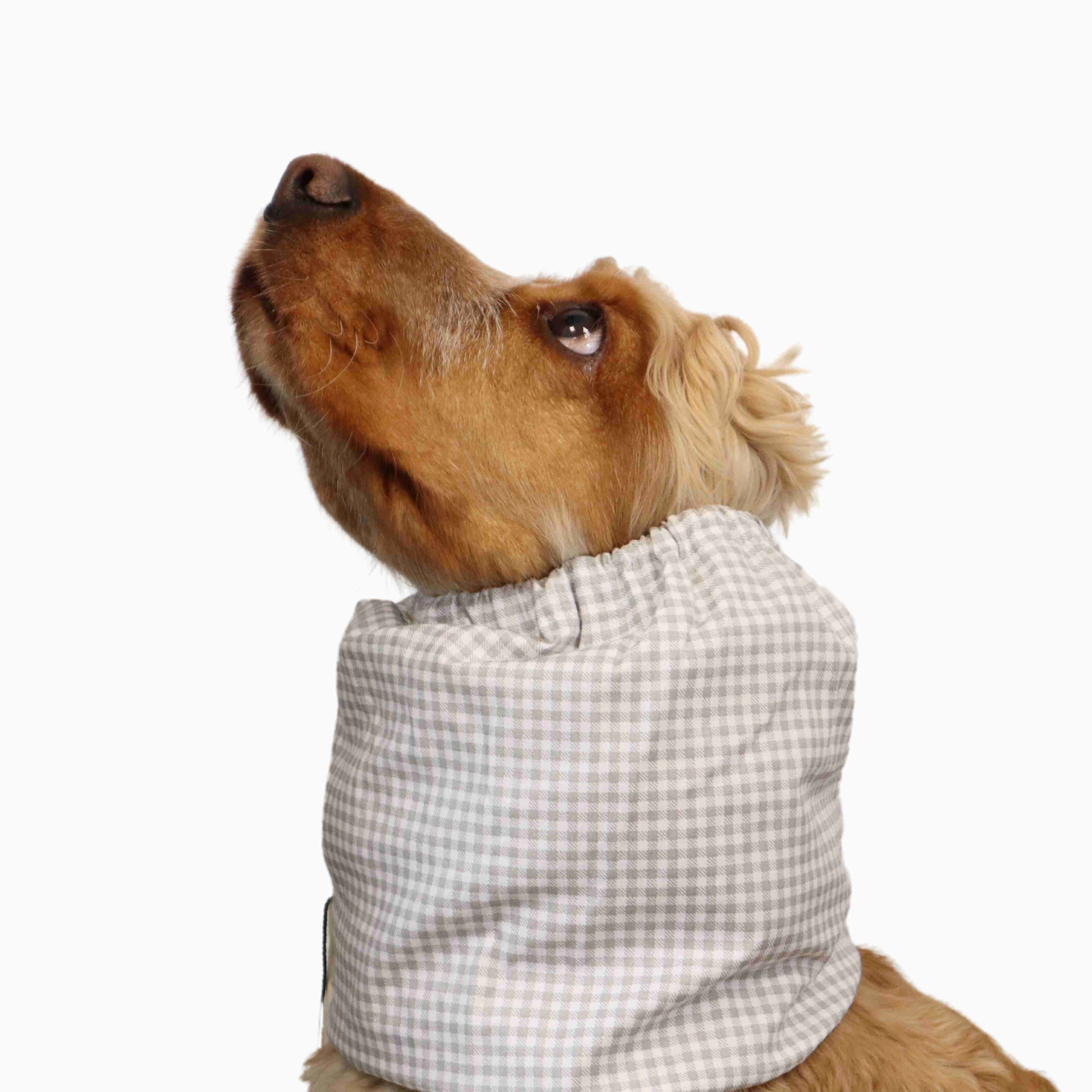 Cotton Dog Snood | Pastel Checkered