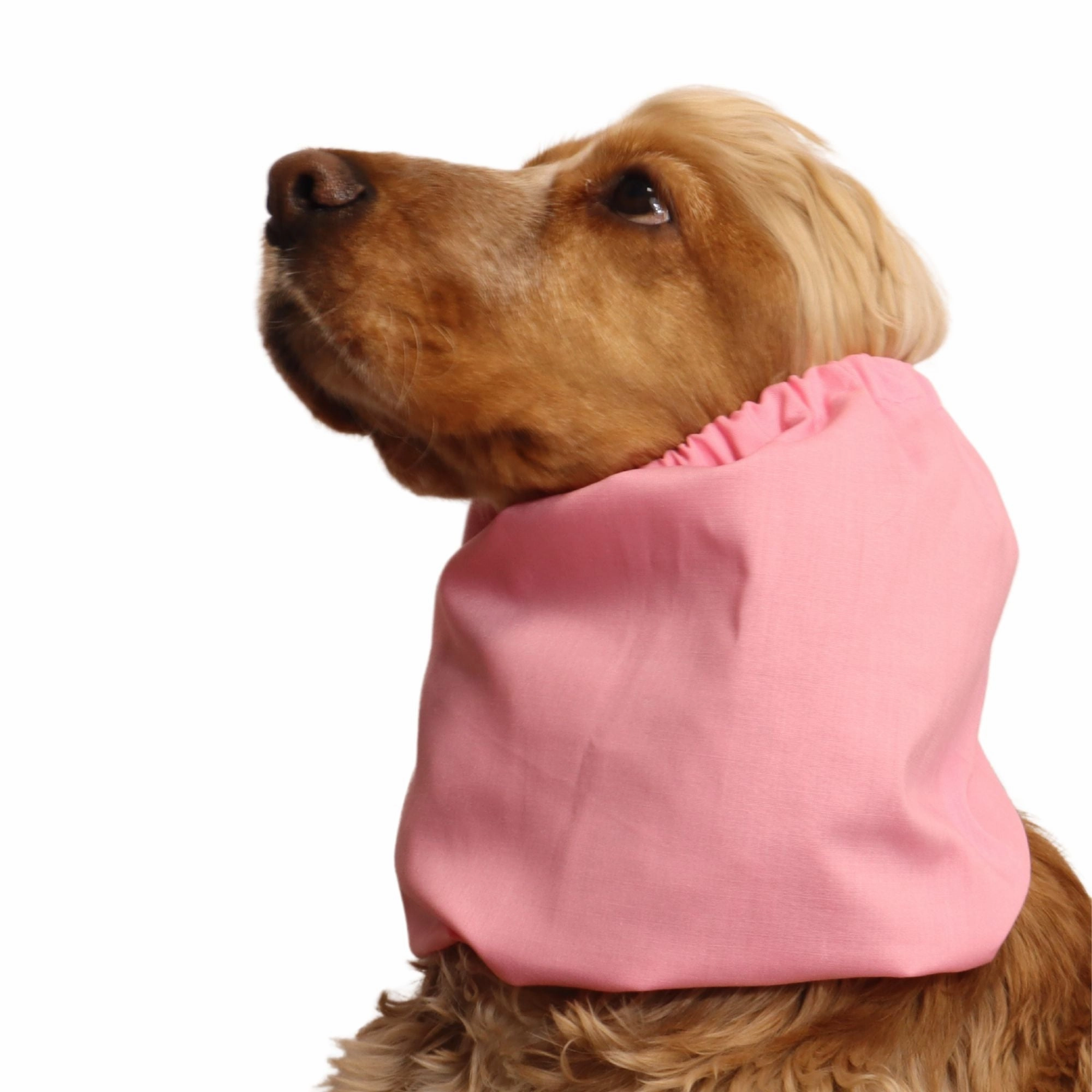 Cotton Dog Snood | Pastel Pink