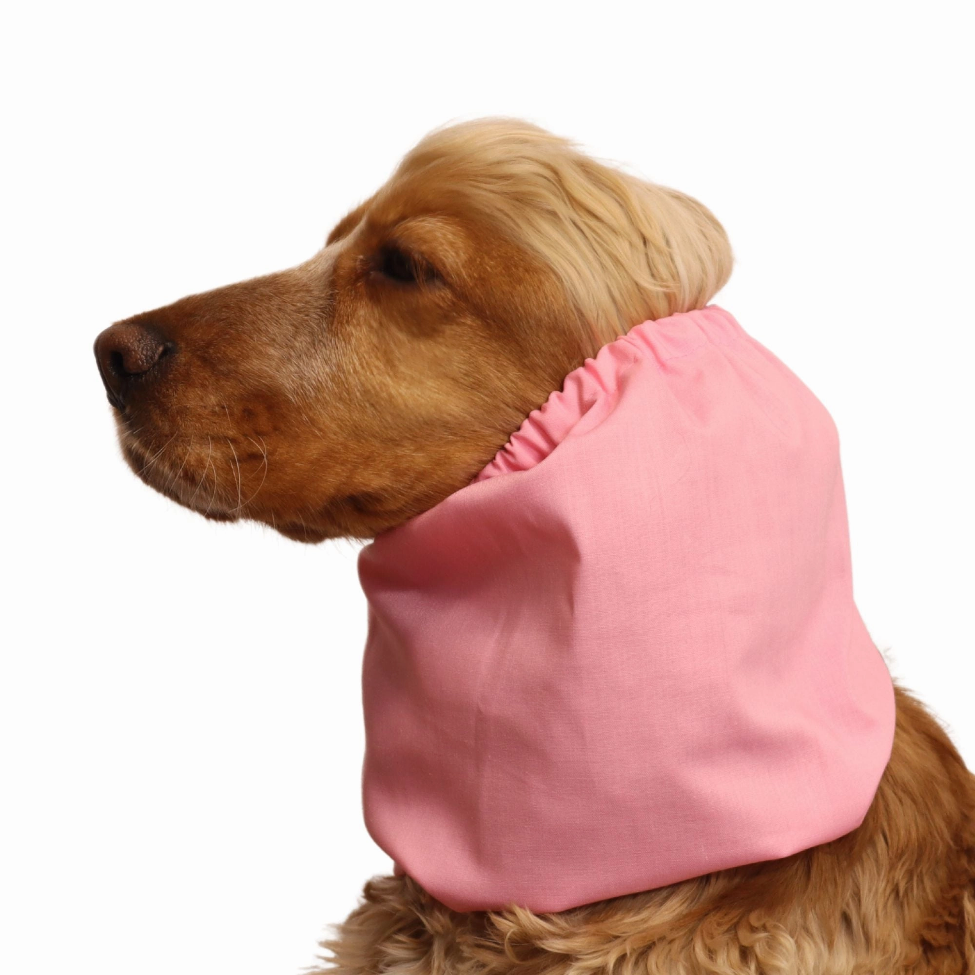 Cotton Dog Snood | Pastel Pink