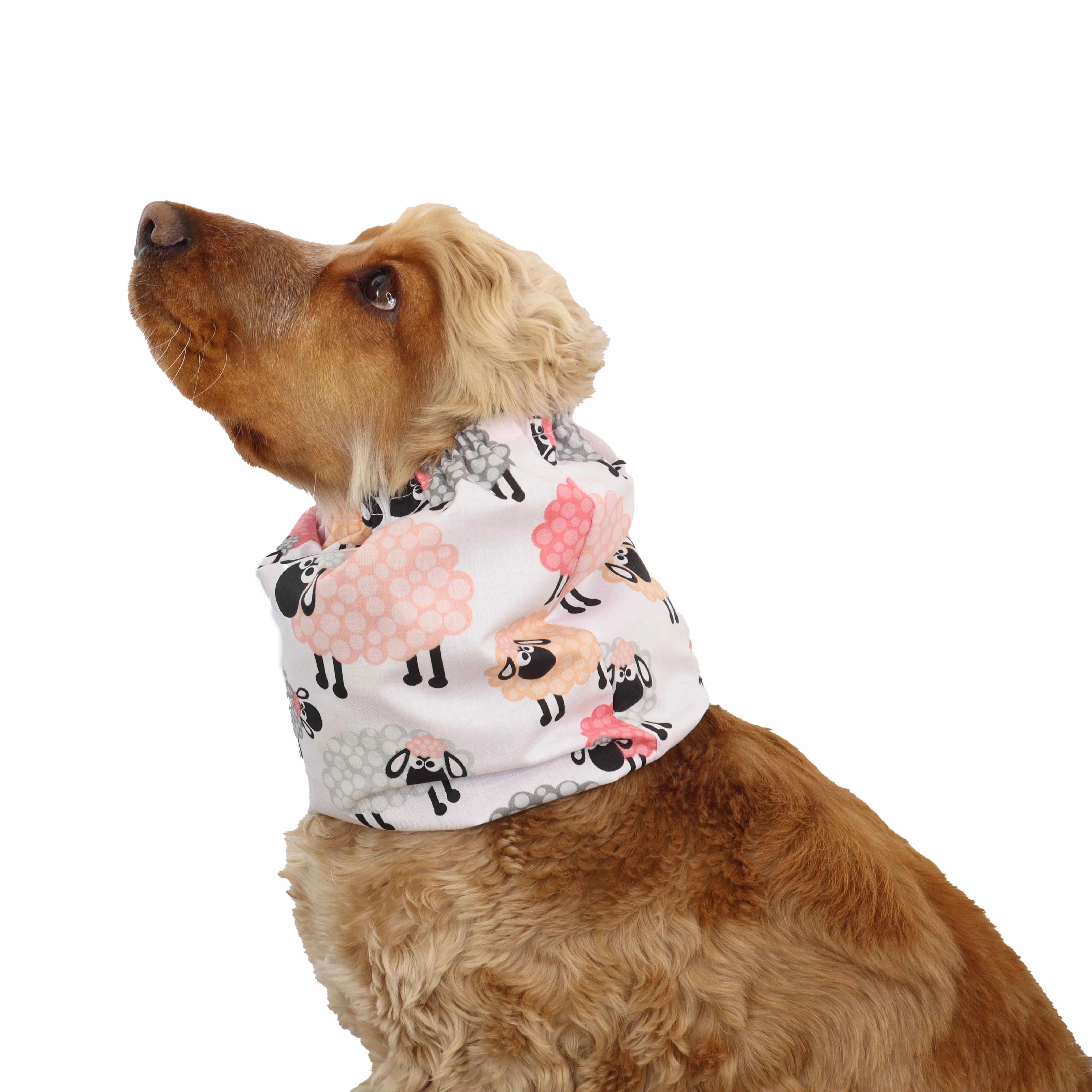 Cotton Dog Snood | Pastel Sheep