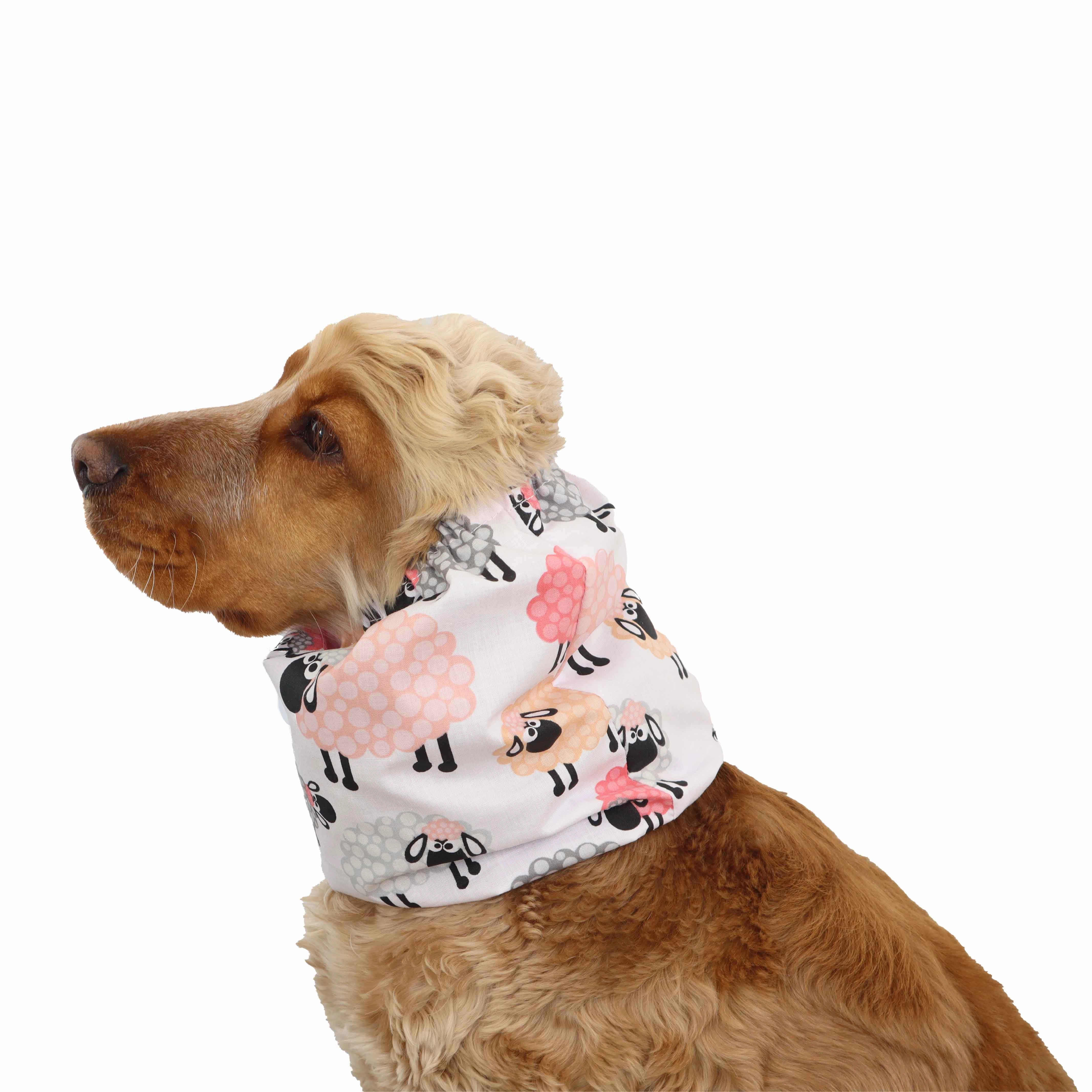 Cotton Dog Snood | Pastel Sheep