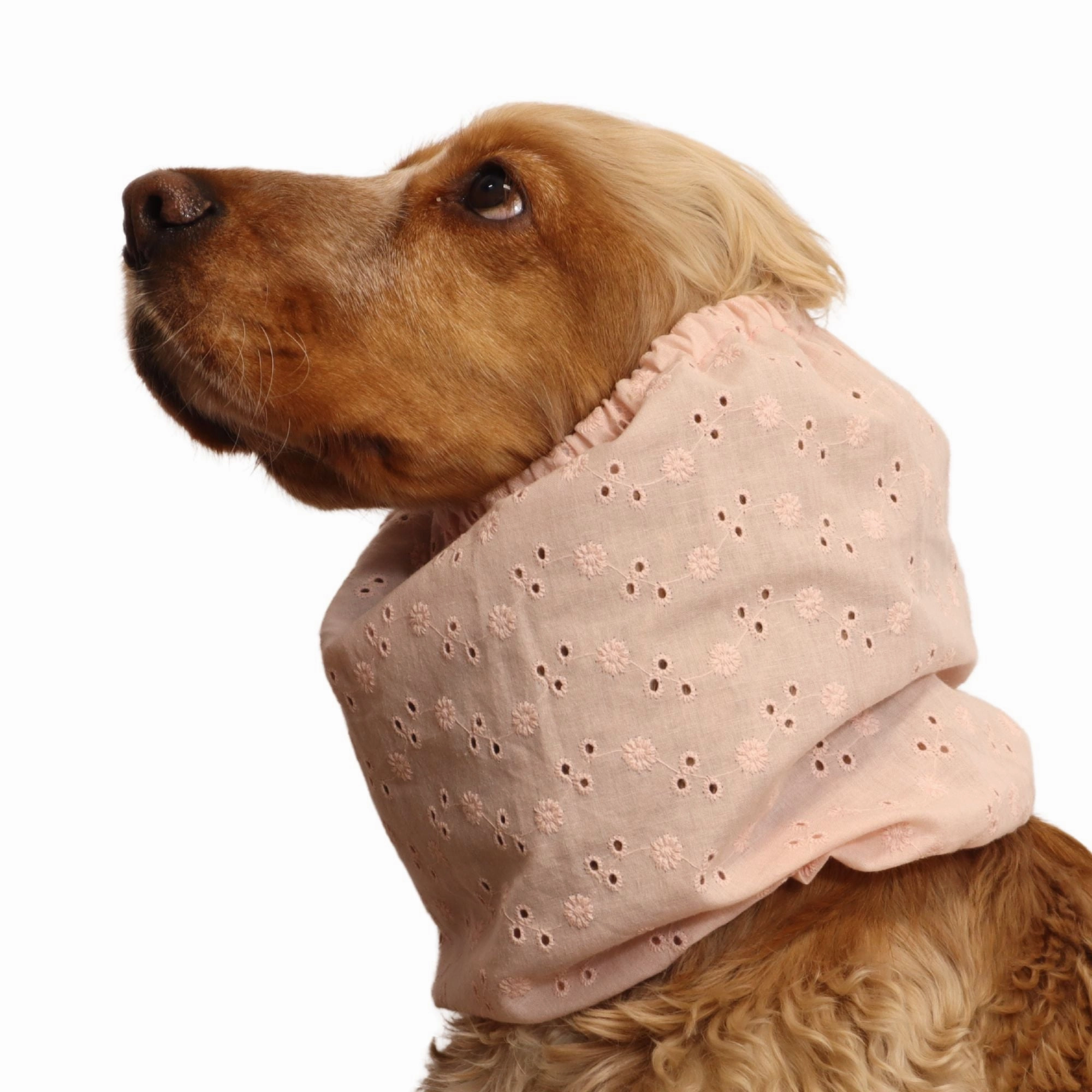Cotton Dog Snood | Peach Blossom