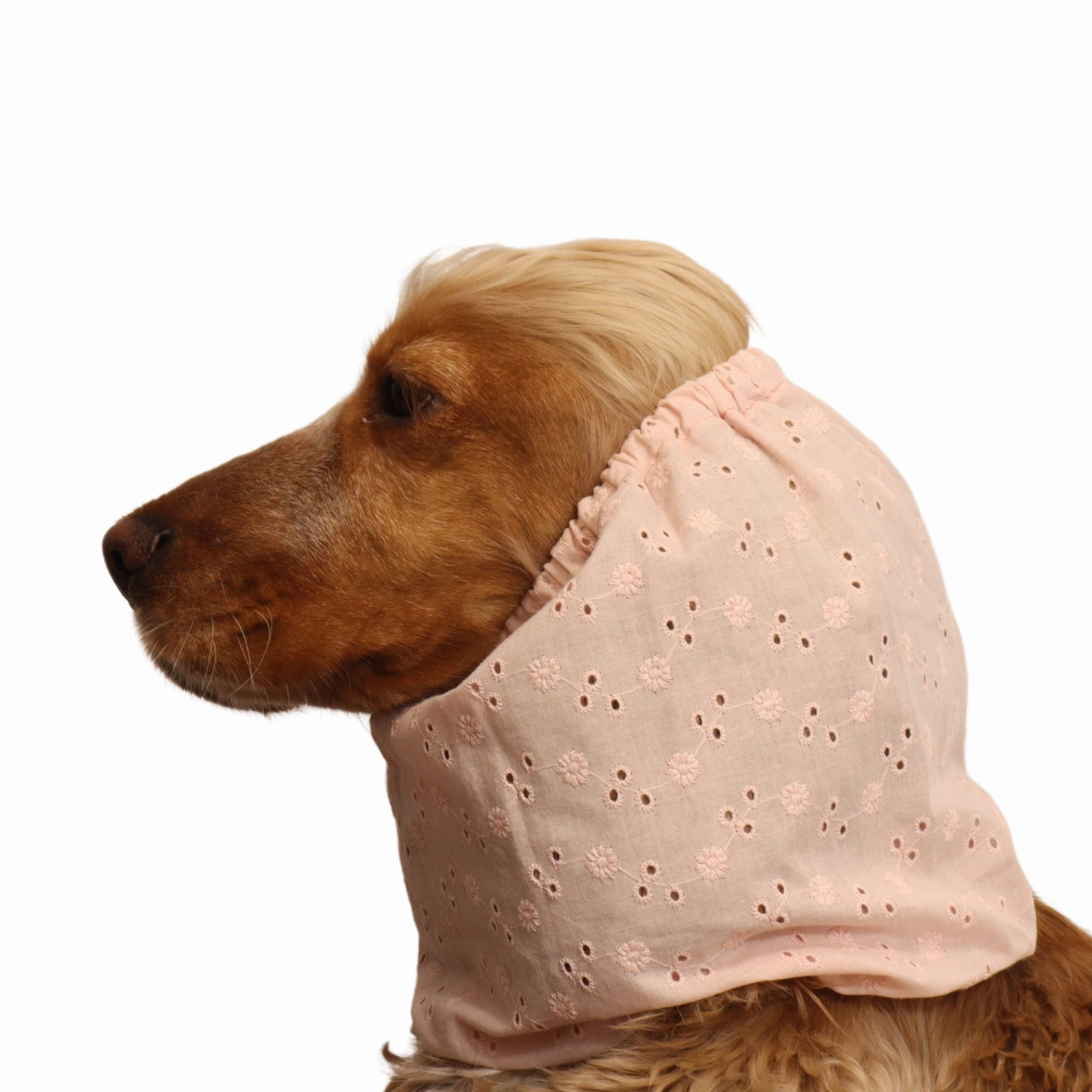 Cotton Dog Snood | Peach Blossom