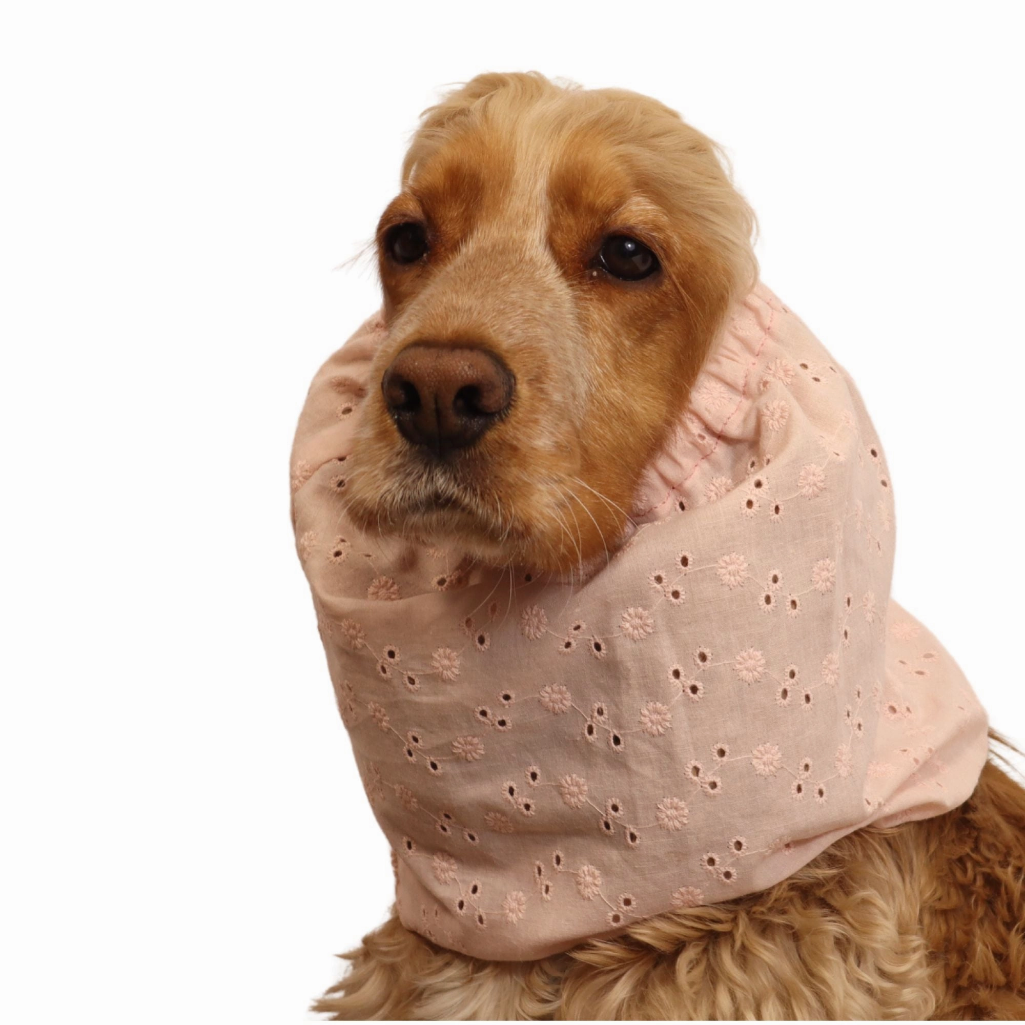 Cotton Dog Snood | Peach Blossom