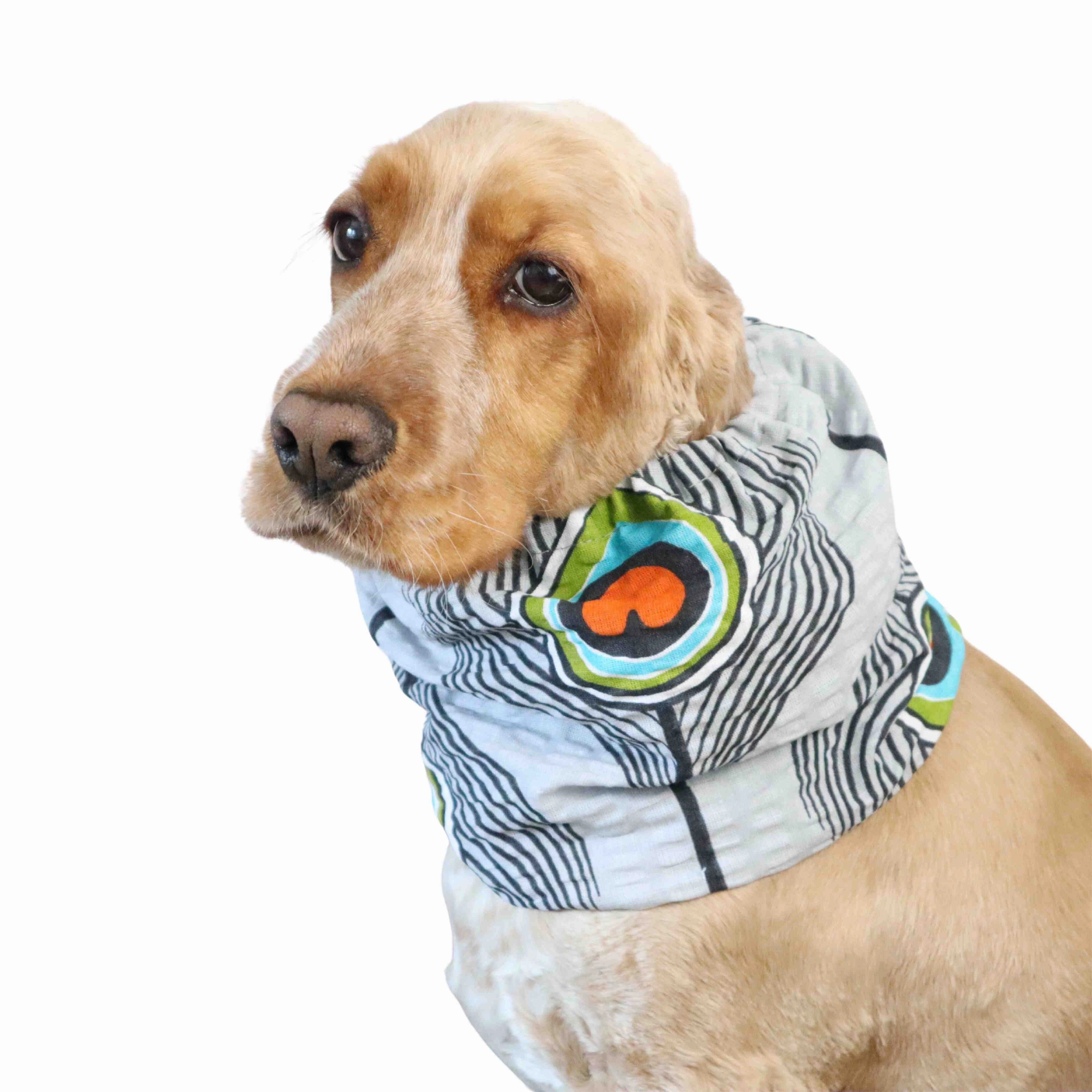 Cotton Dog Snood | Peacock Feathers