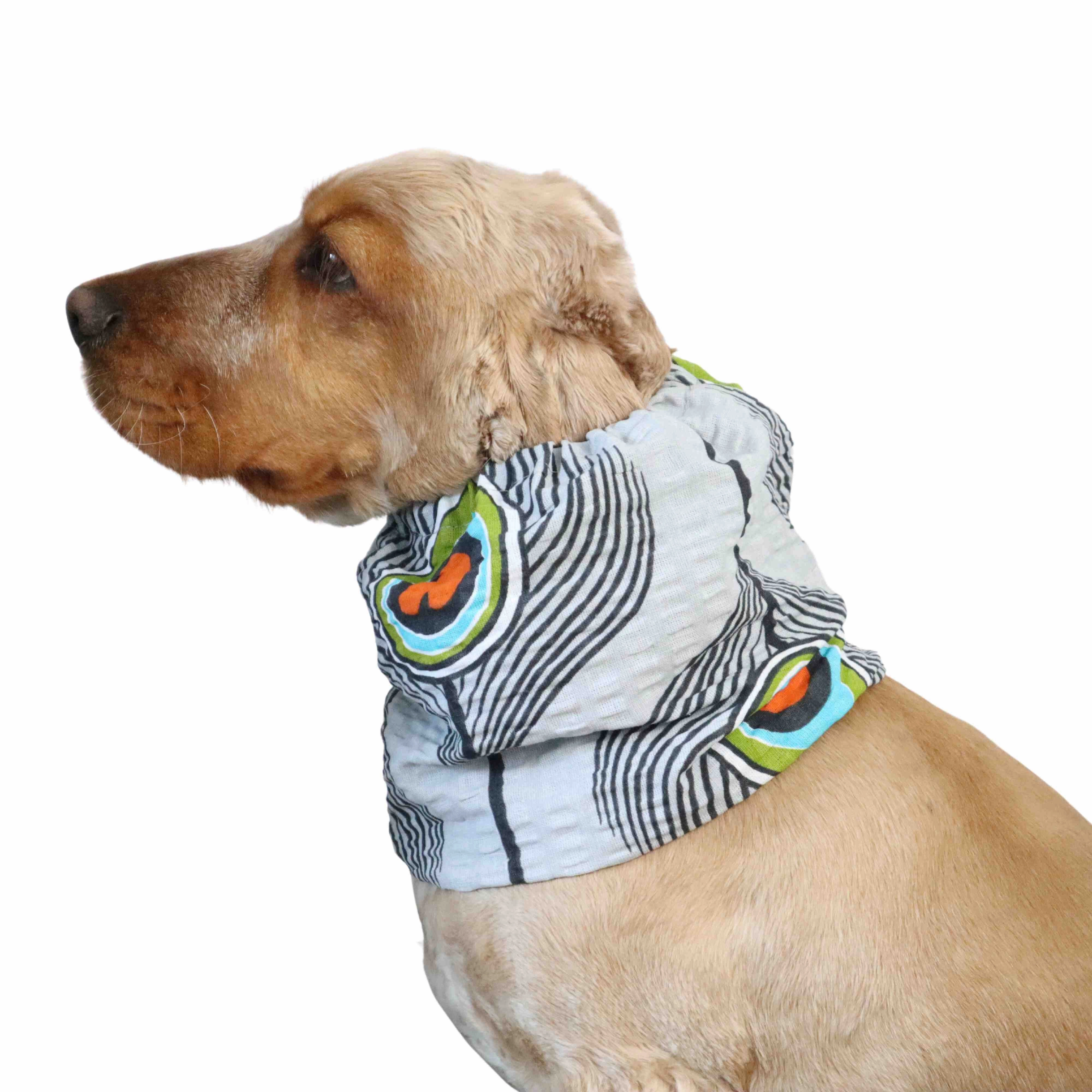 Cotton Dog Snood | Peacock Feathers
