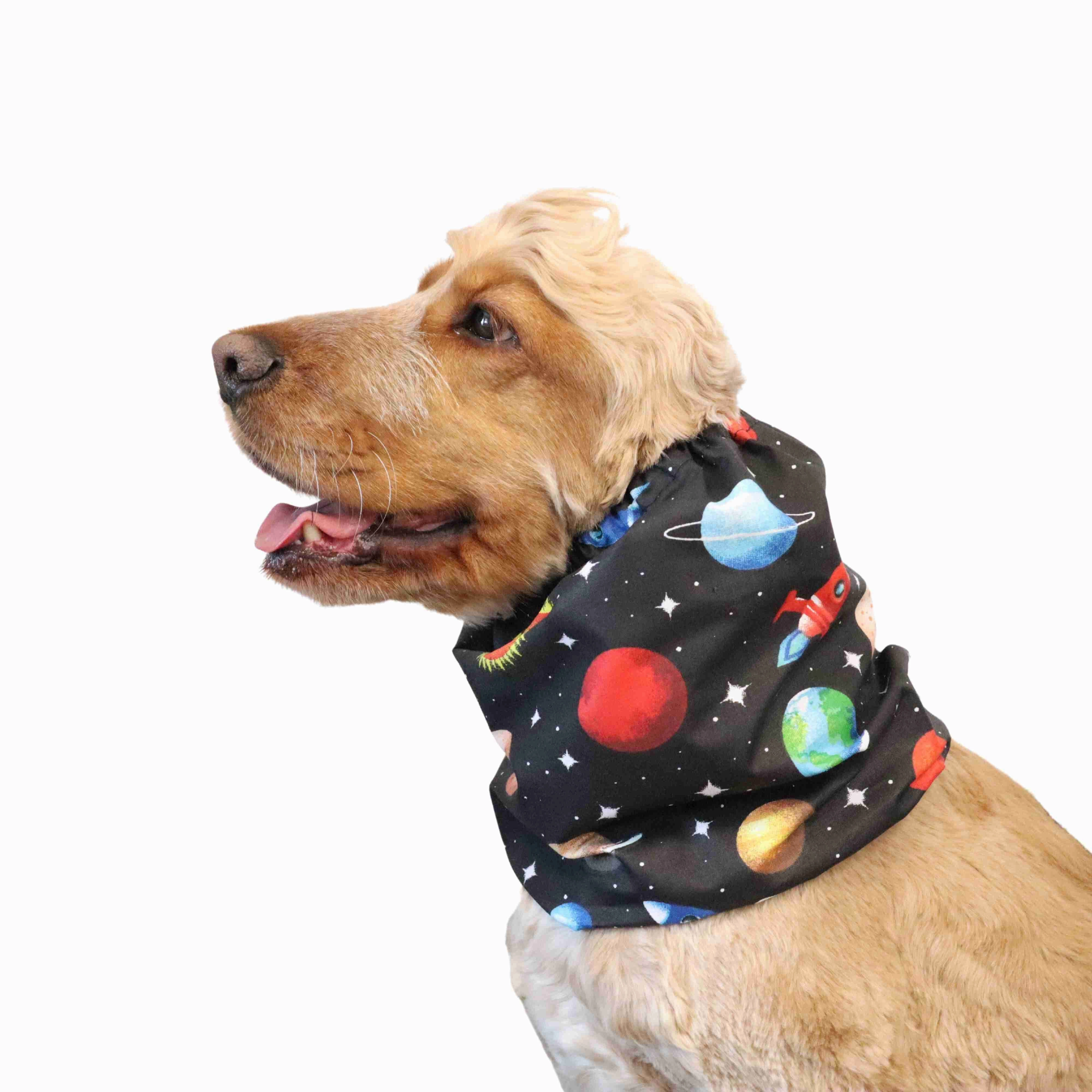 Cotton Dog Snood | Planets