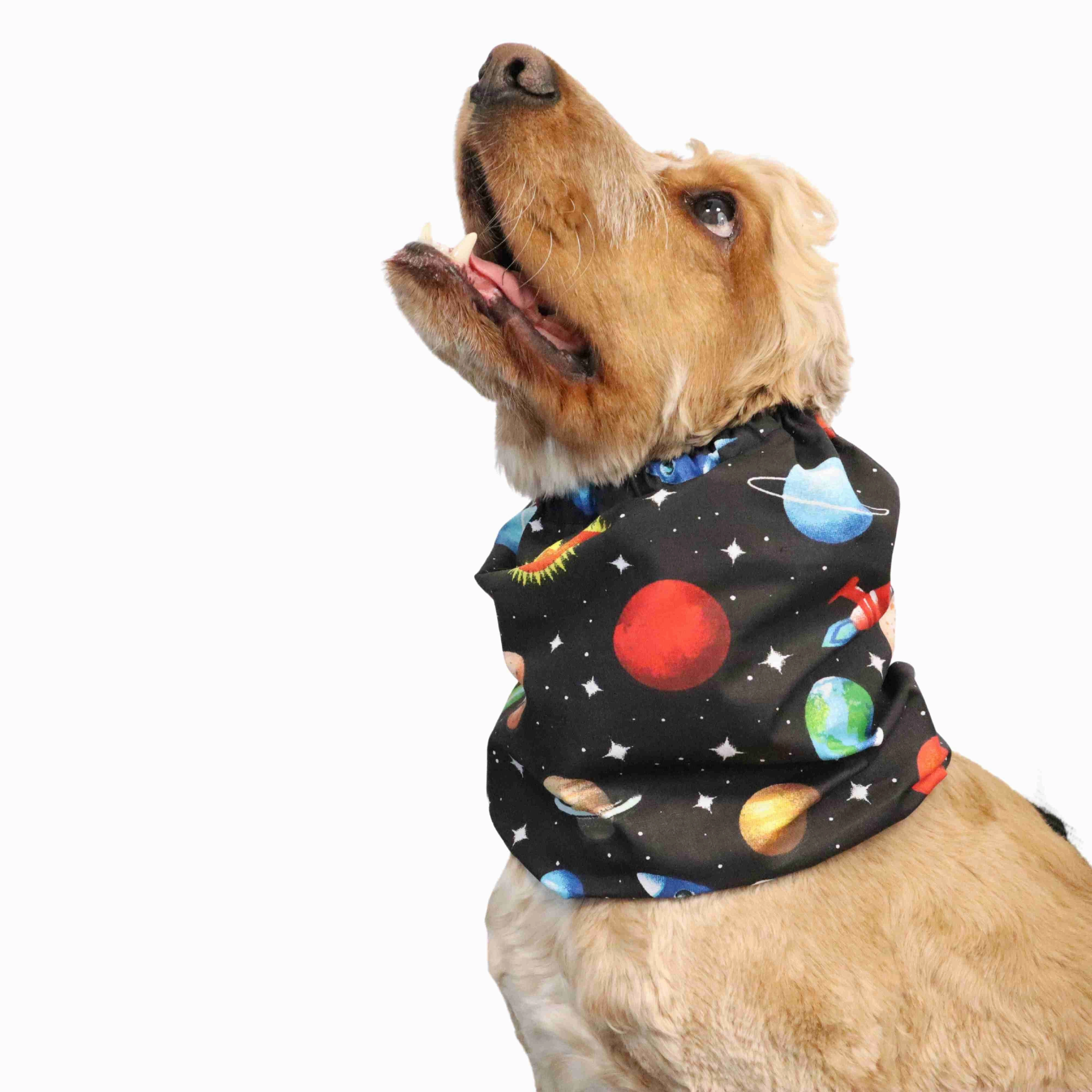 Cotton Dog Snood | Planets
